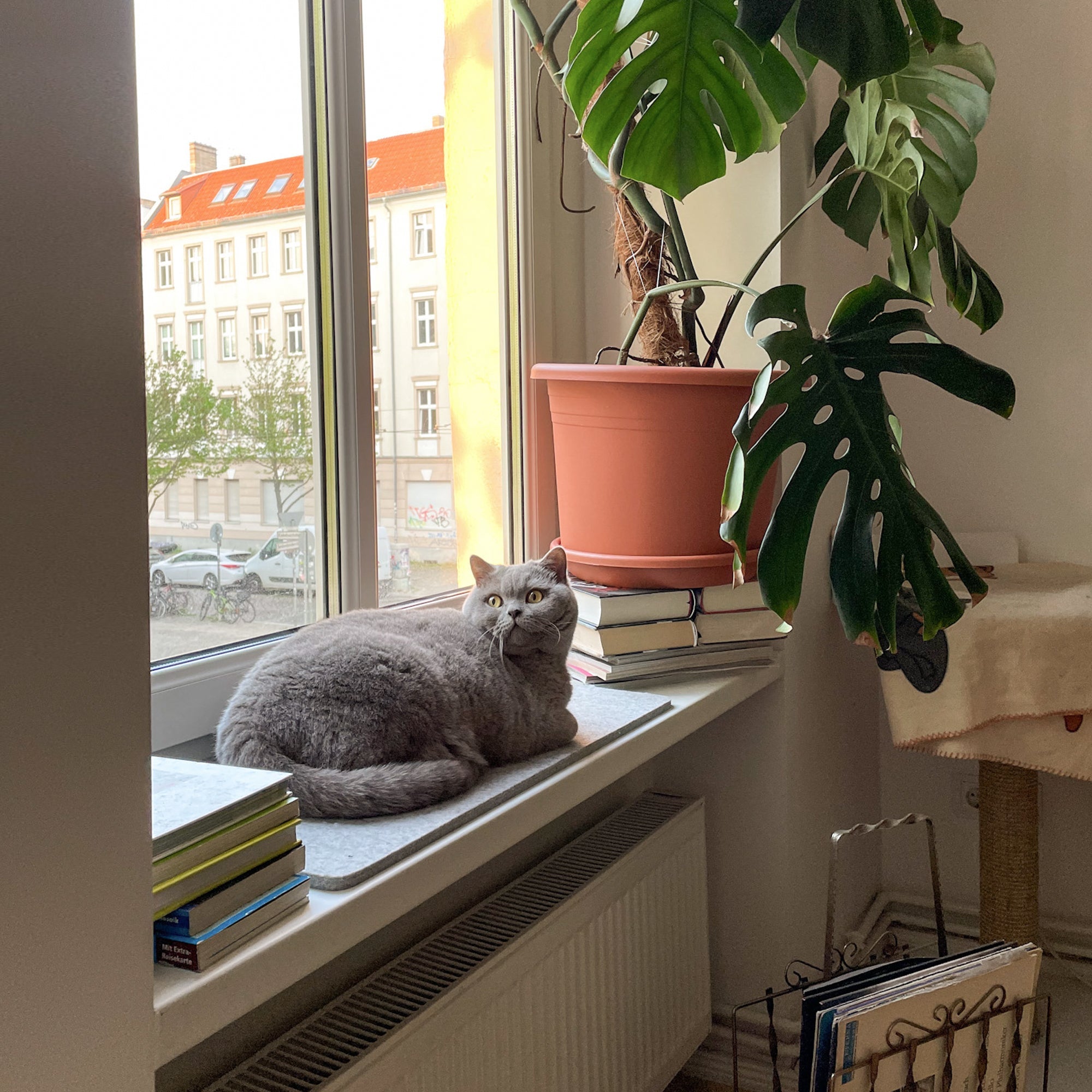 Livana | Weiche Filzauflage für Fensterbank und Ablageflächen