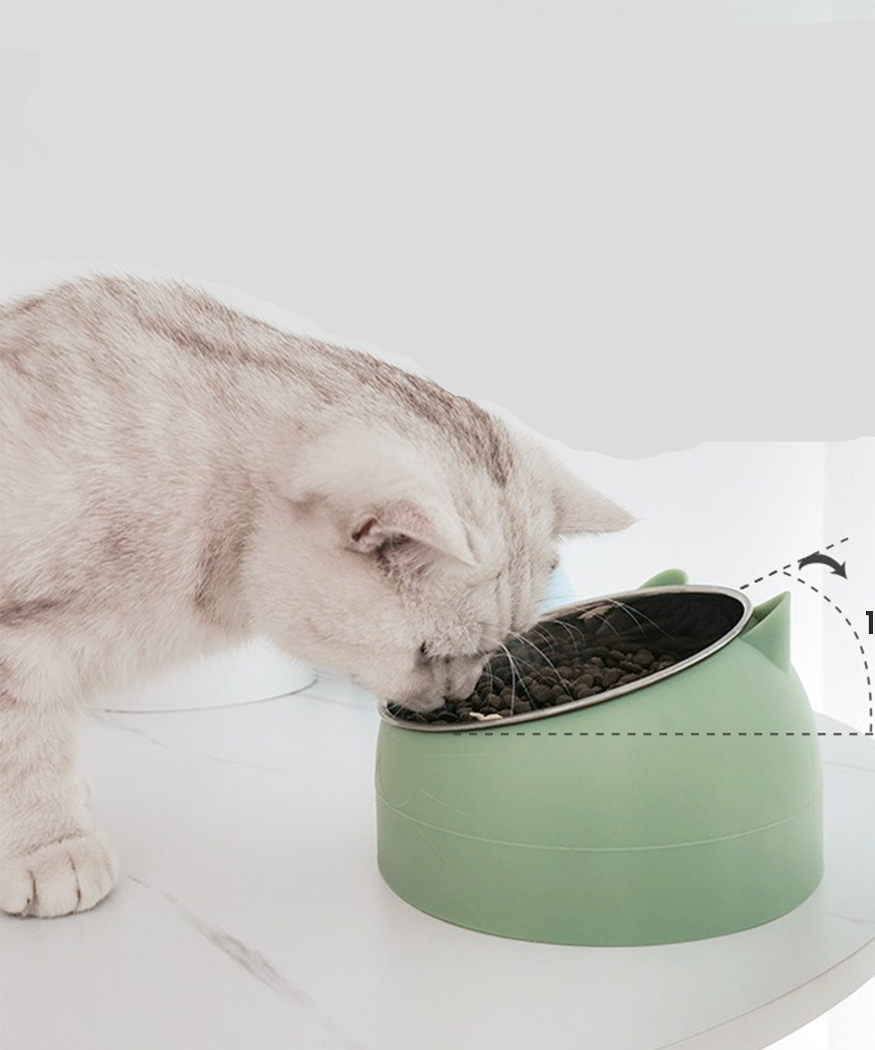 VetBow | Anti-Erbrechen Futternapf mit ergonomischer Neigung