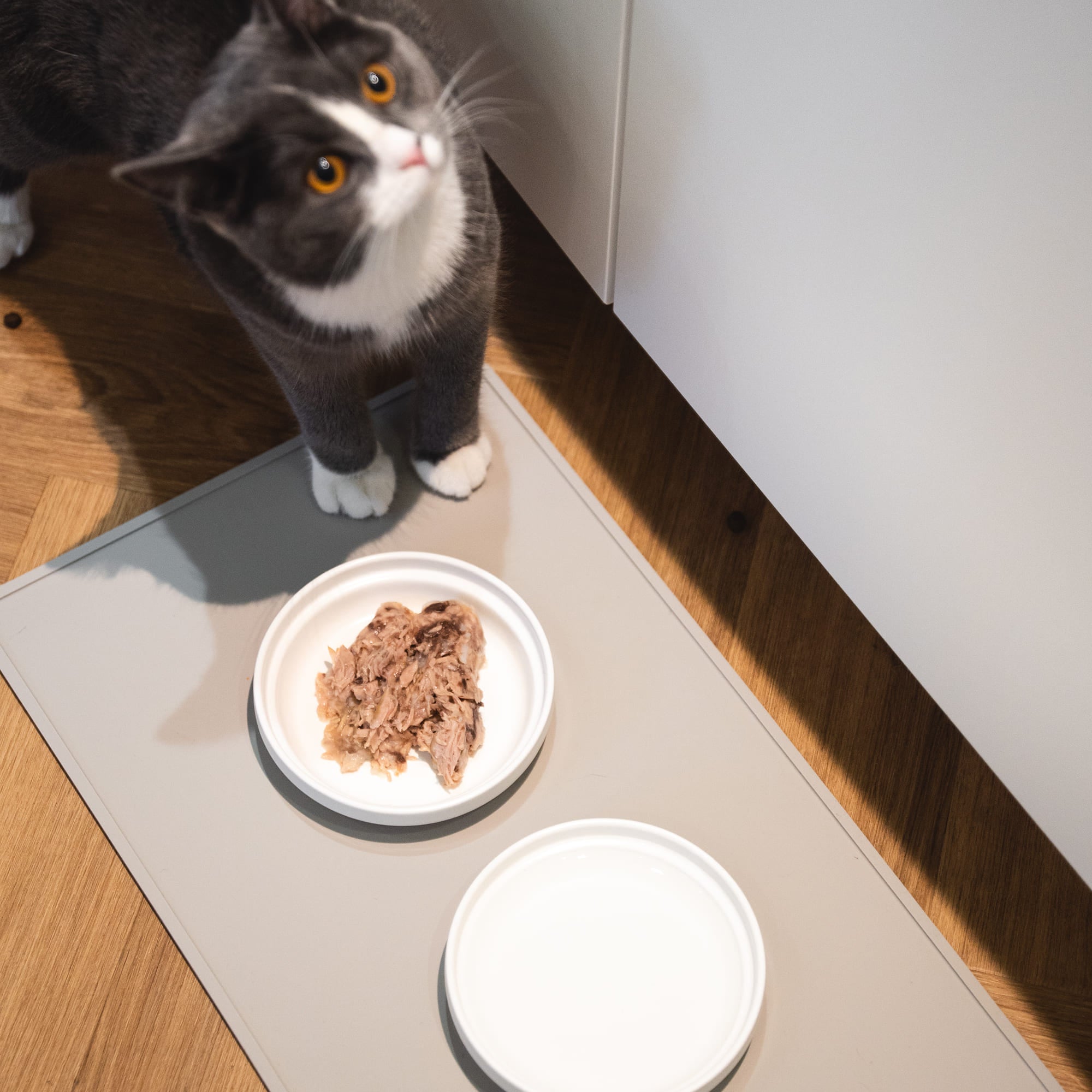 FelinaForma | Ergonomischer Katzennapf aus Porzellan