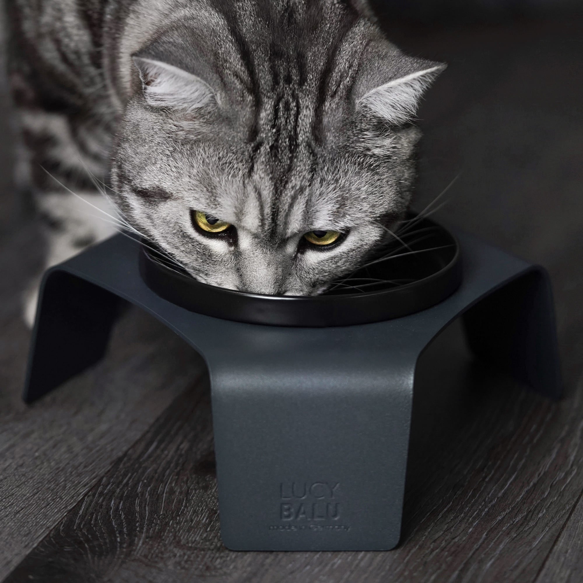 FelinaForma | Ergonomischer Katzennapf aus Porzellan