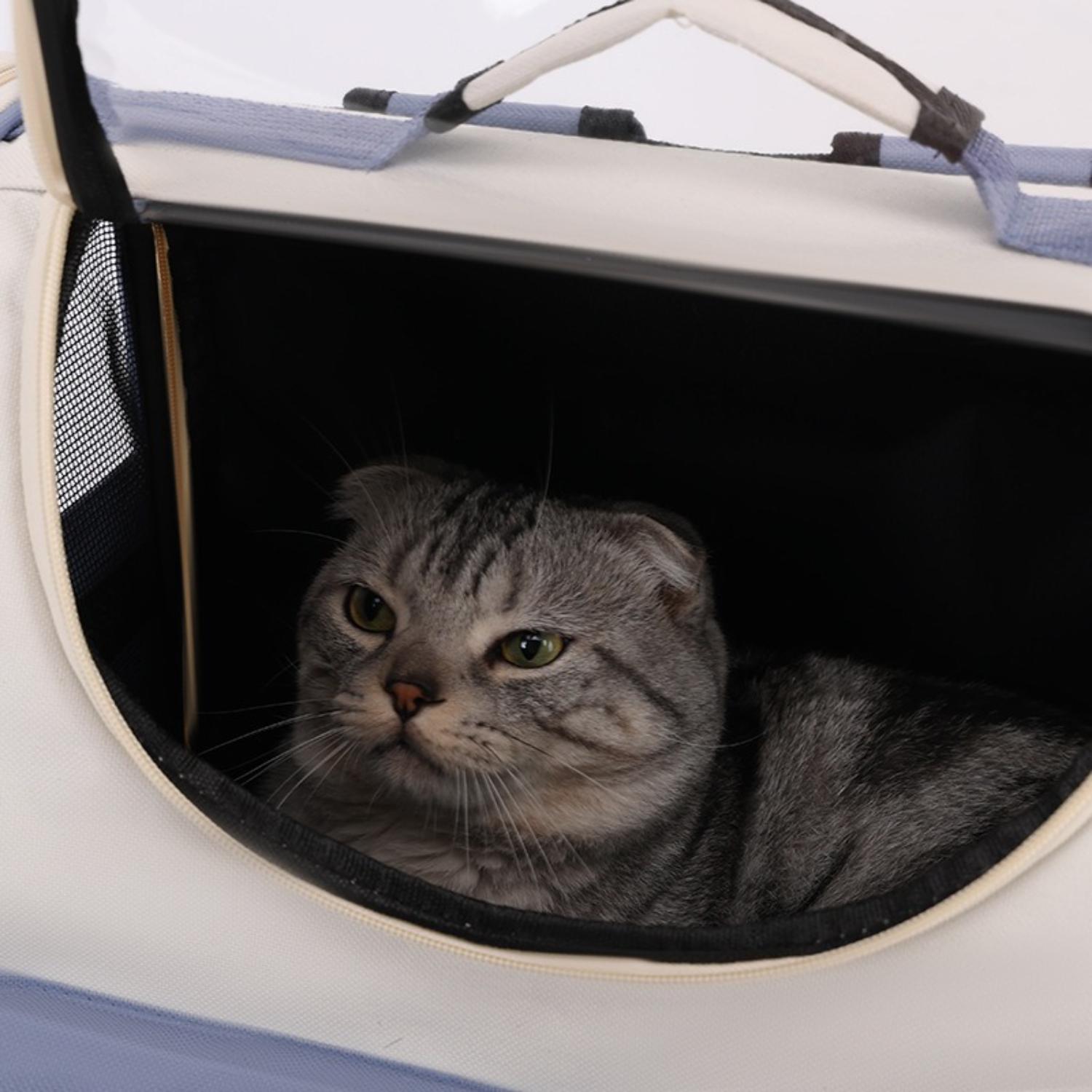FeliGo | Katzenrucksack mit Panoramasicht für unterwegs