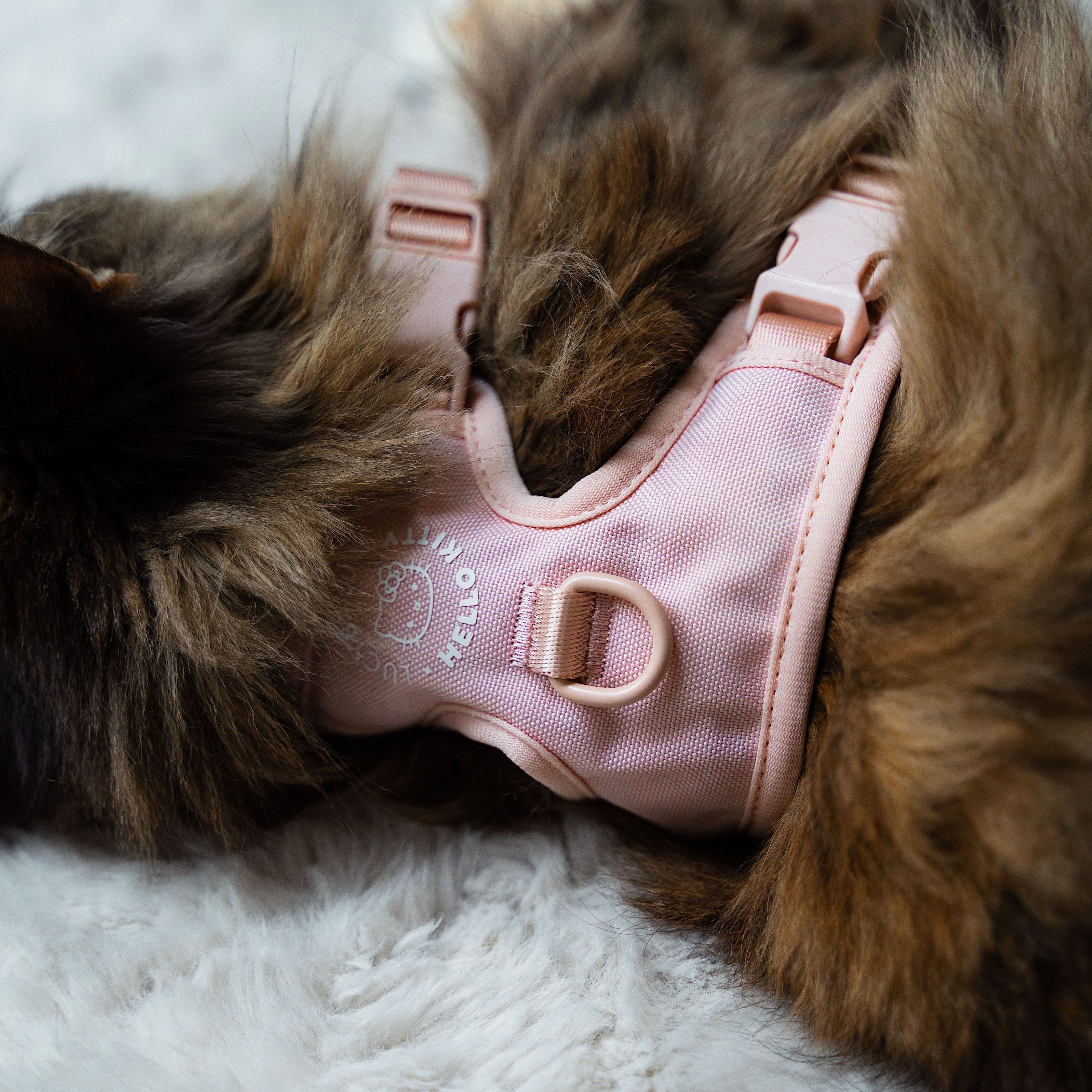 Miala | Komfort-Katzengeschirr mit Sicherheitsverschluss – Hello Kitty Design