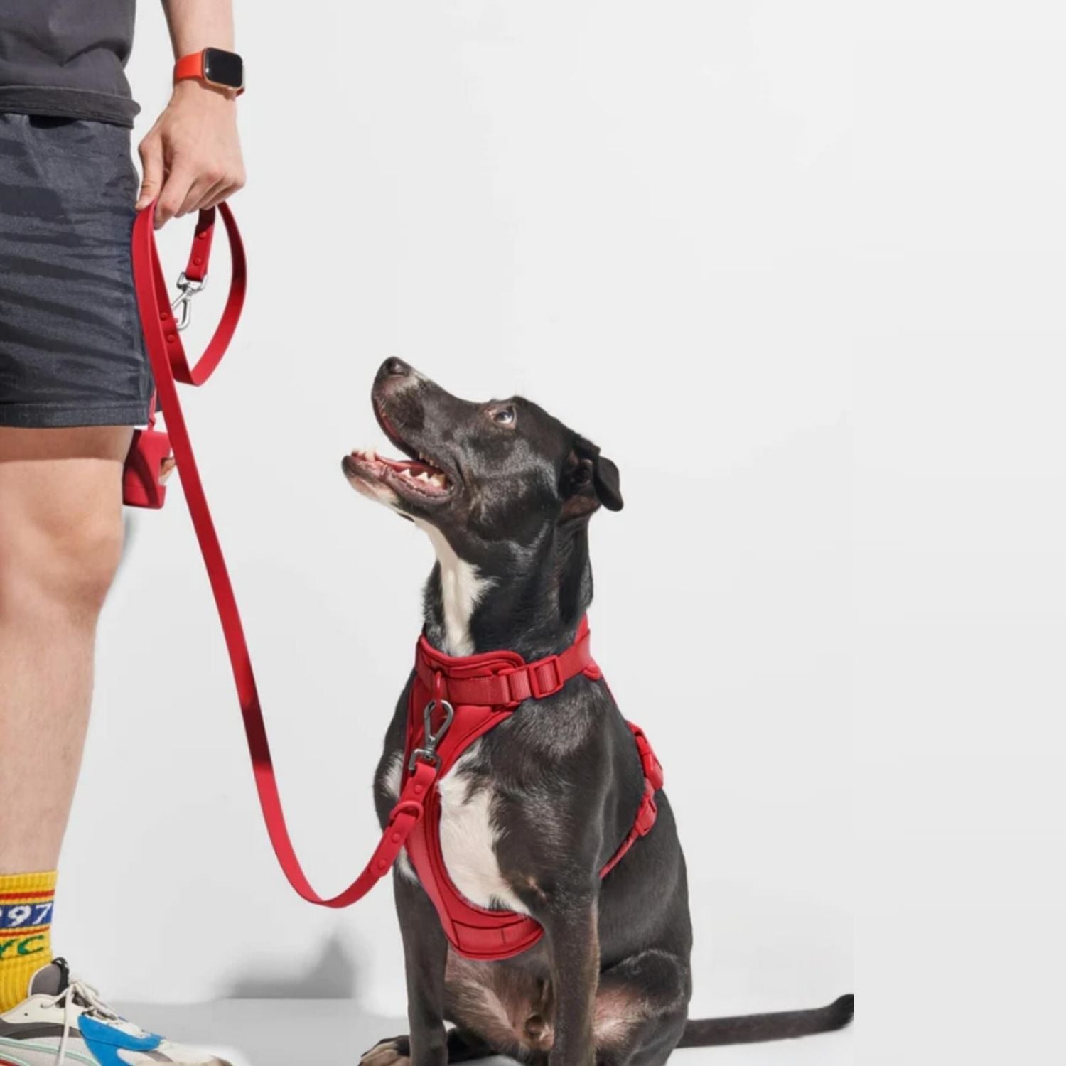 Bruno | Wasserdichtes Hunde-Geschirr Set für freihändiges Gehen