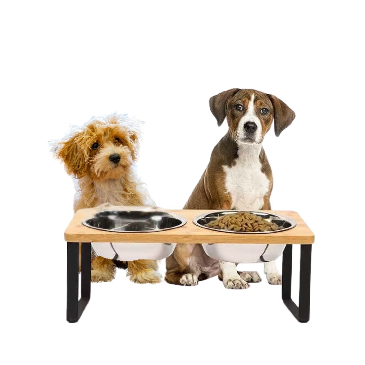 BarkWood | Erhöhte Hundefutterschüssel mit Bambusgestell & Edelstahlschalen