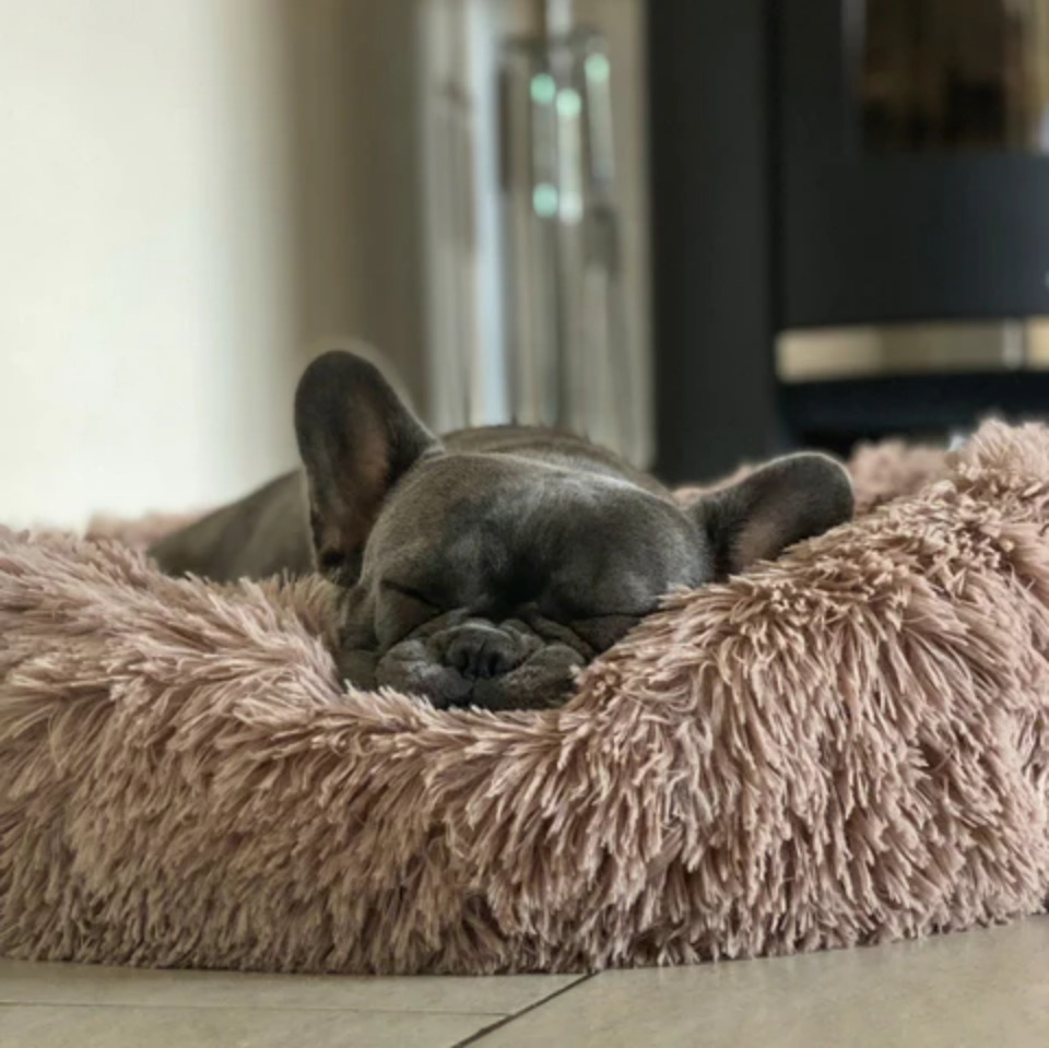 Pawrelax | Flauschiges Hundebett – Komfortabler Schlafplatz für Vierbeiner
