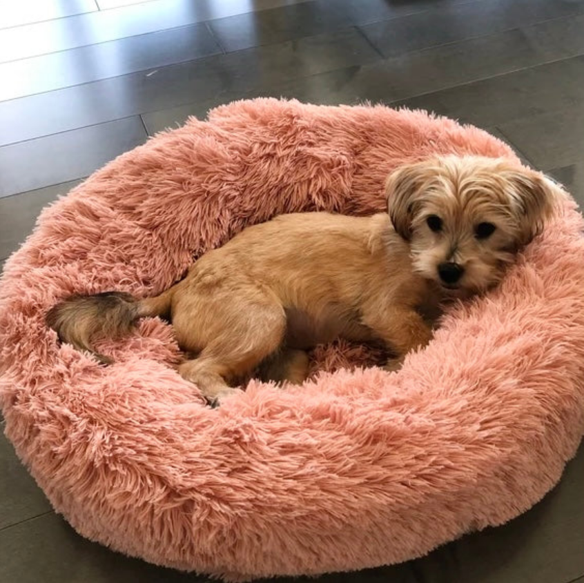 Pawrelax | Flauschiges Hundebett – Komfortabler Schlafplatz für Vierbeiner