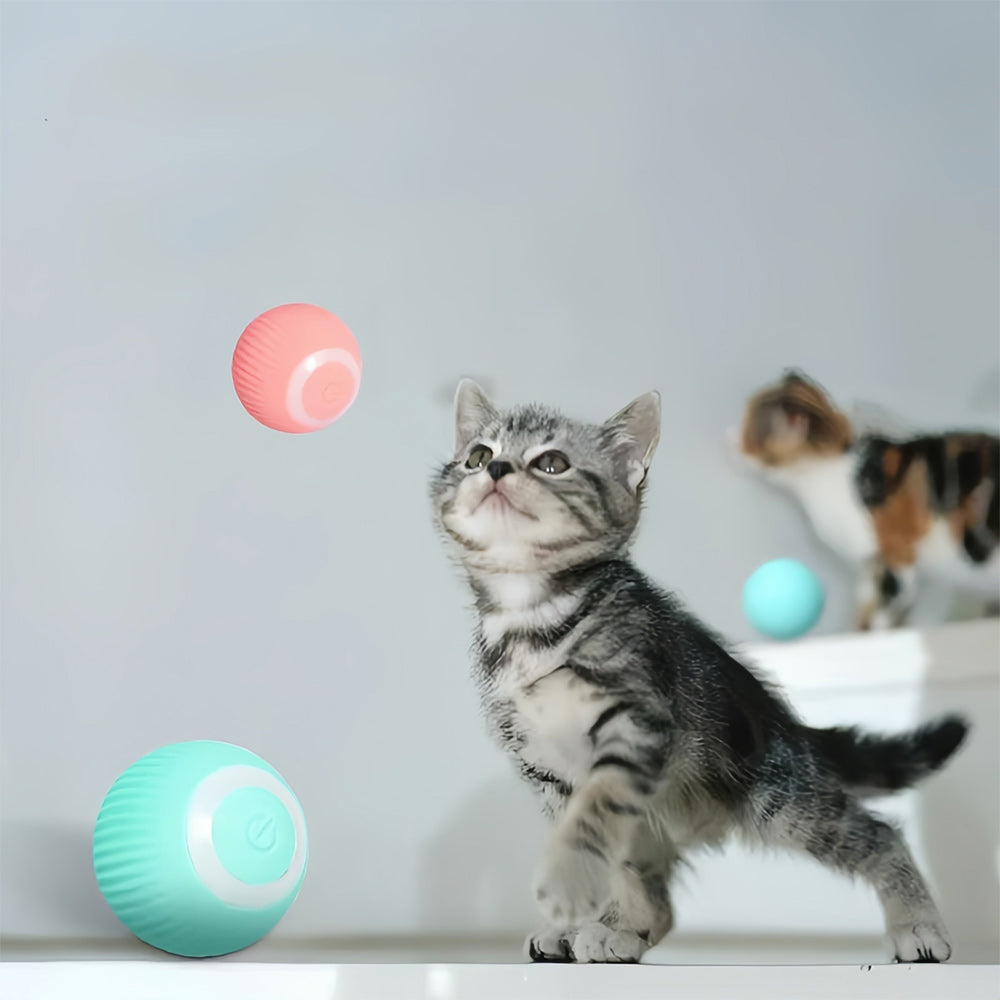Juno | Jagdspielmatte für aktive & neugierige Katzen