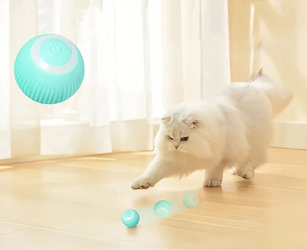 Juno | Jagdspielmatte für aktive & neugierige Katzen