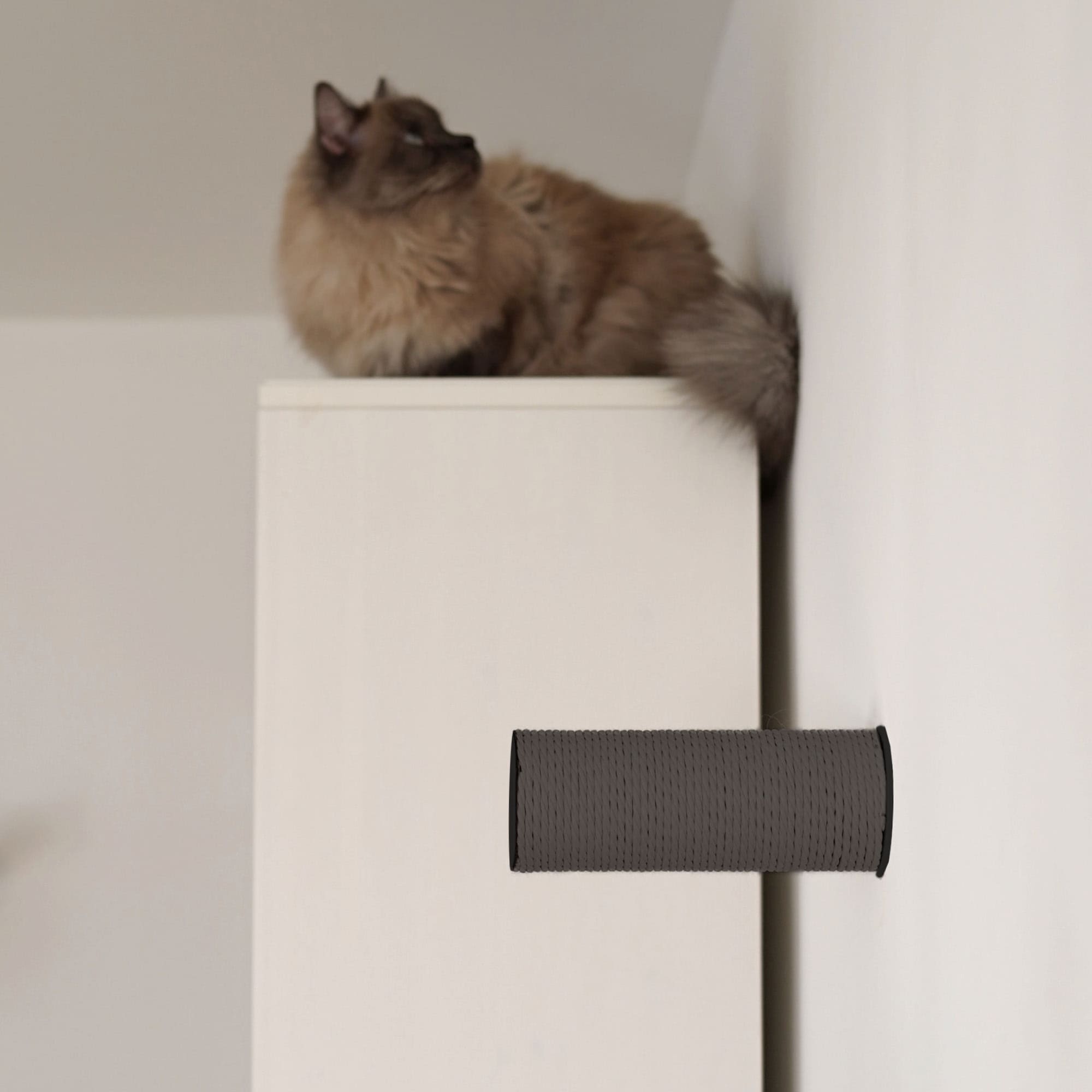 Taviro | Wand-Kratzstamm für Katzen zur vertikalen Kletterwand-Erweiterung