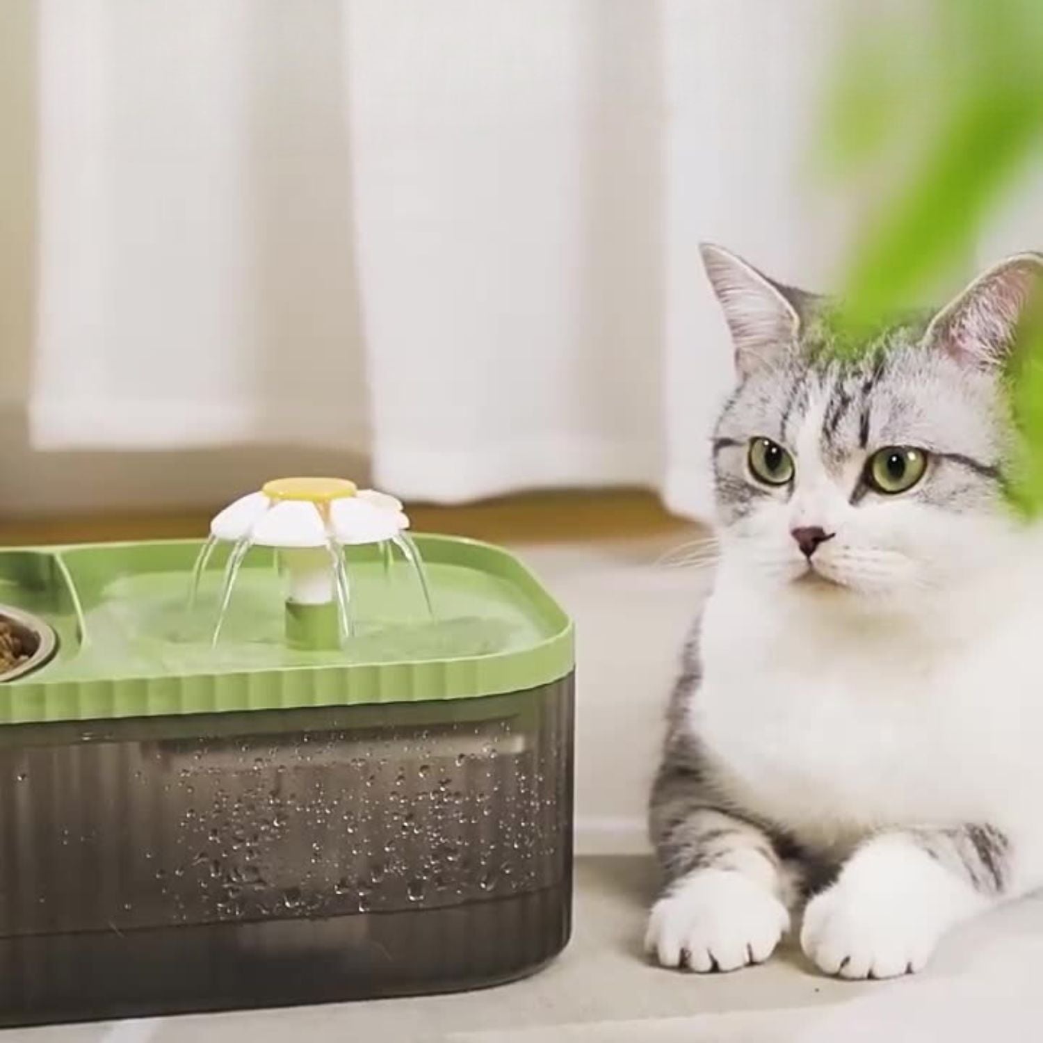AquaPaws | Trinkbrunnen & Futternapf für Katzen & kleine Hunde – frisches Wasser & gesunde Mahlzeiten