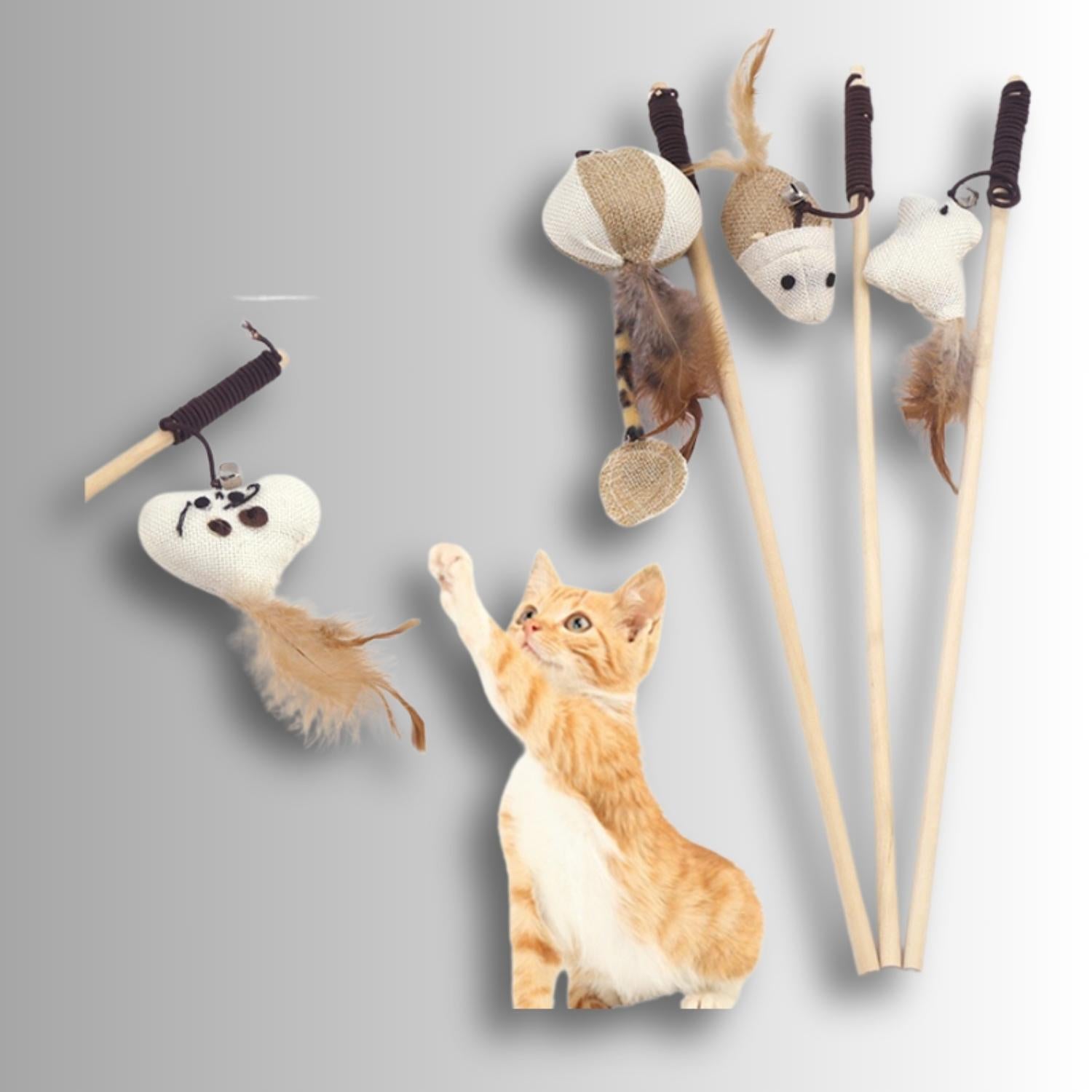 FeliFun | Leinen-Katzenspielangel für aktive Katzen