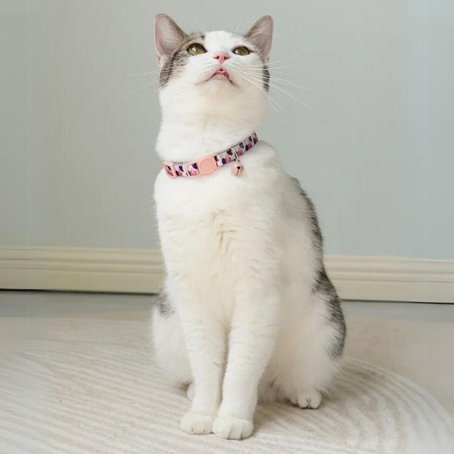 Felino | Katzenhalsband mit Sicherheitsverschluss