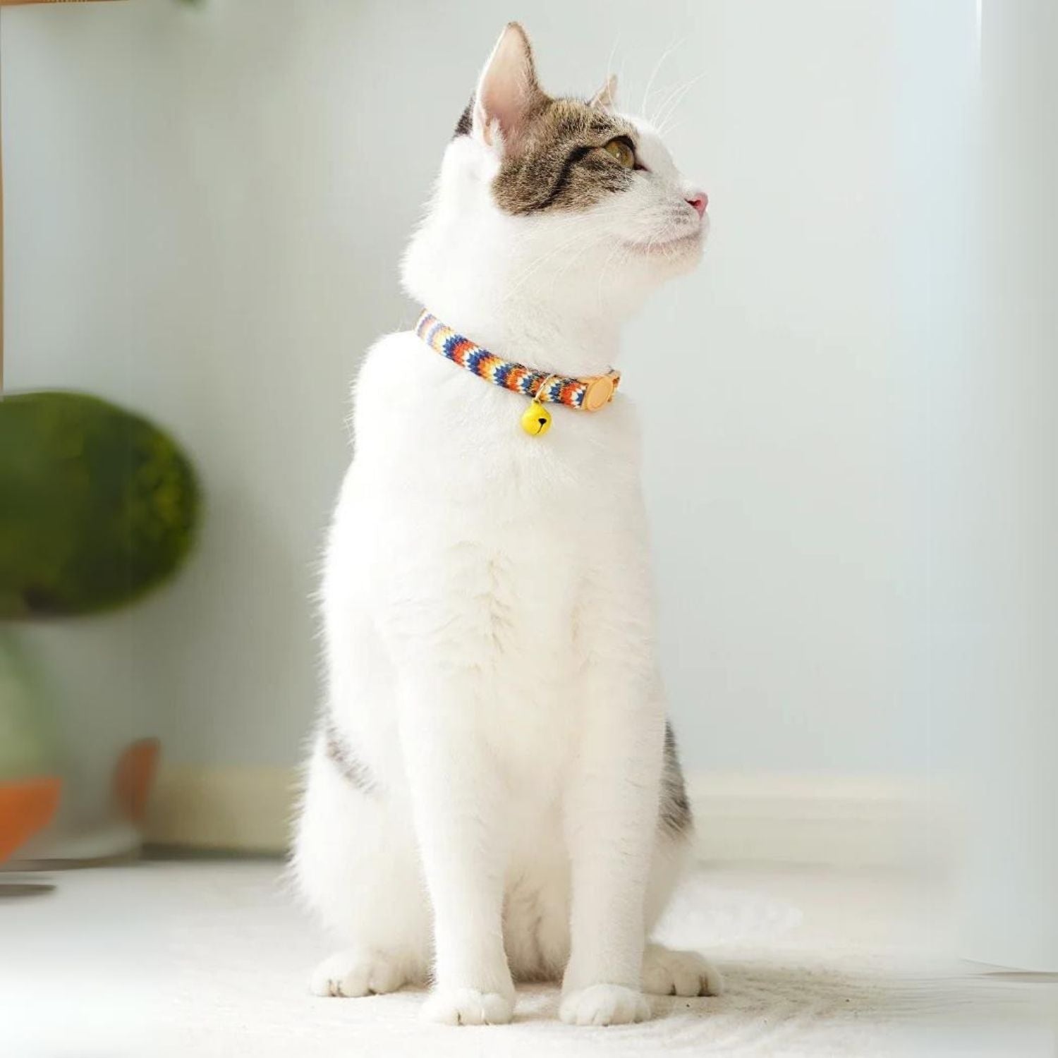 Felino | Katzenhalsband mit Sicherheitsverschluss