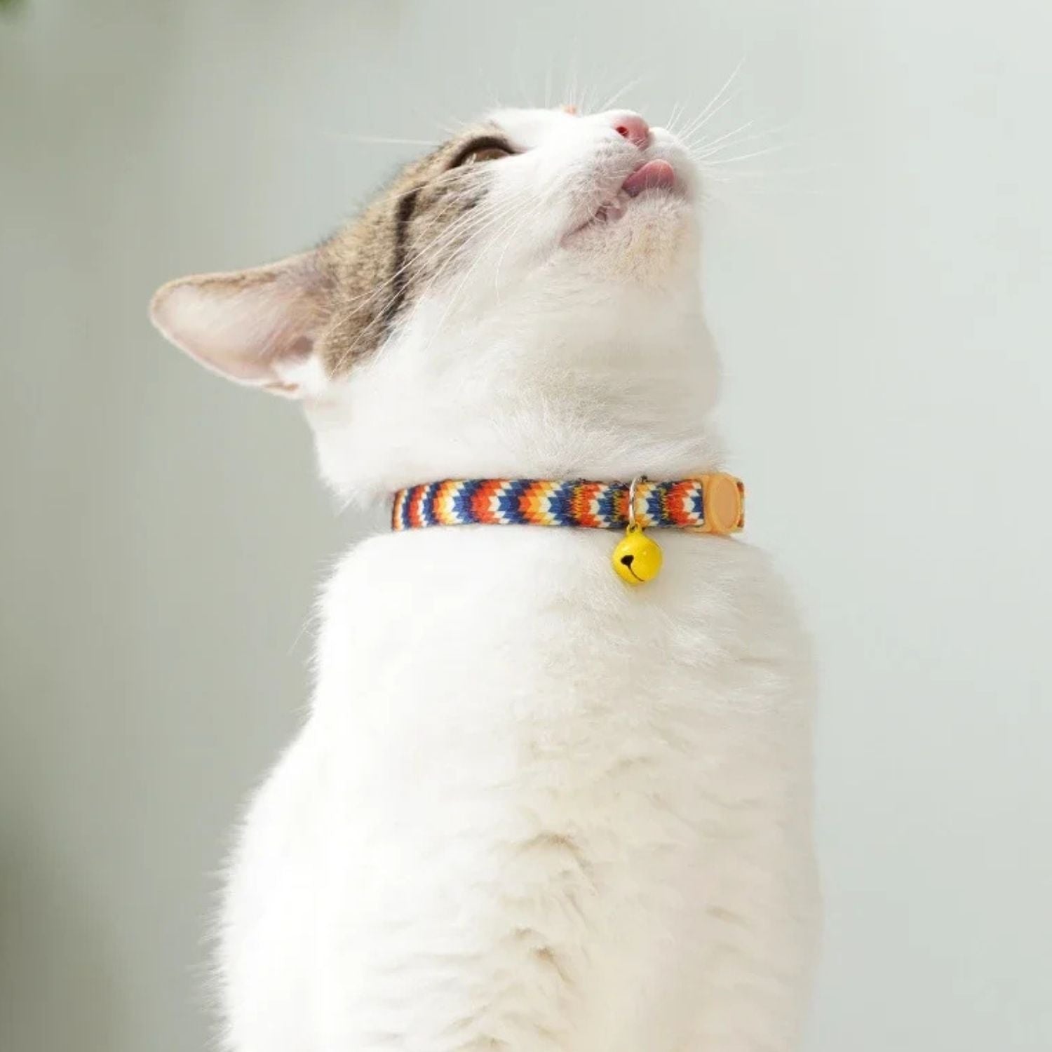 Felino | Katzenhalsband mit Sicherheitsverschluss