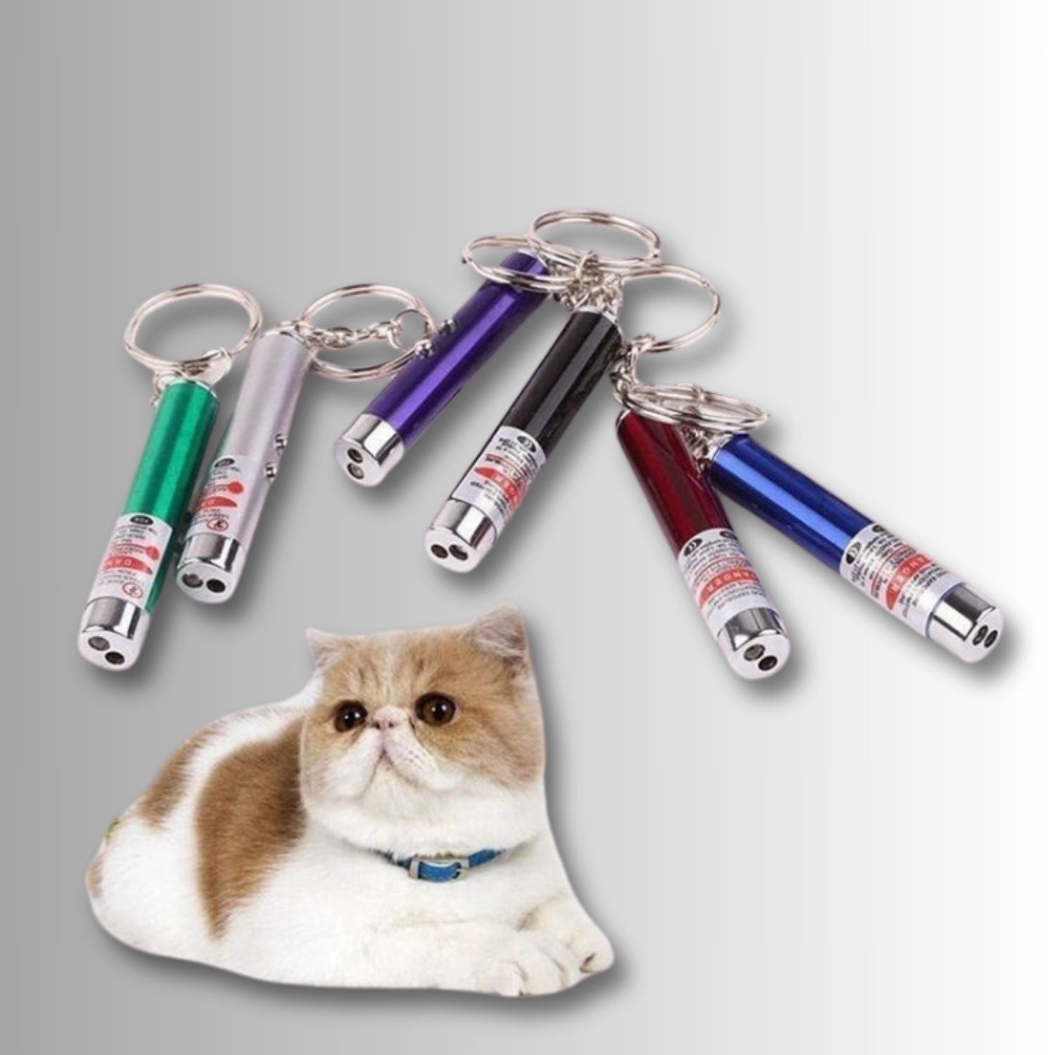 Miaura | Laser-Spielzeug Set für Katzen (6-teilig)