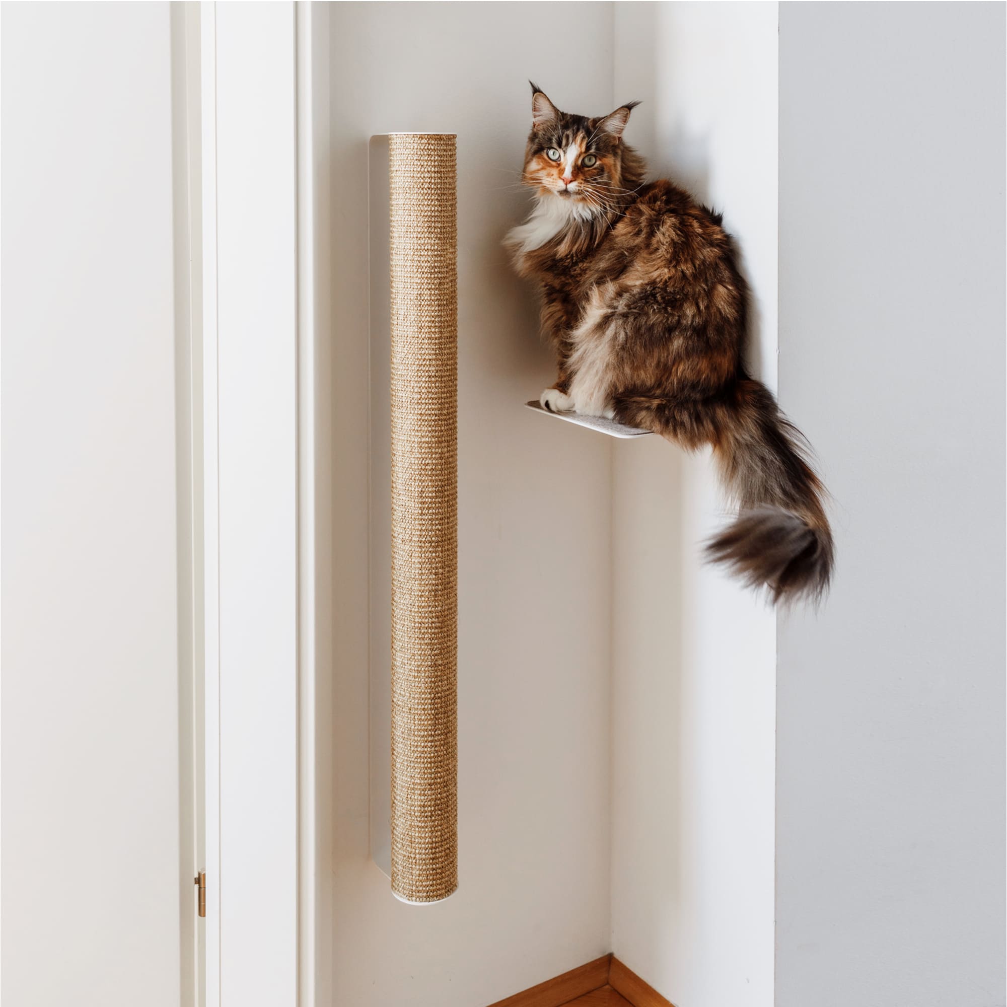 Katzen Kratzstamm schwarz aus Sisal