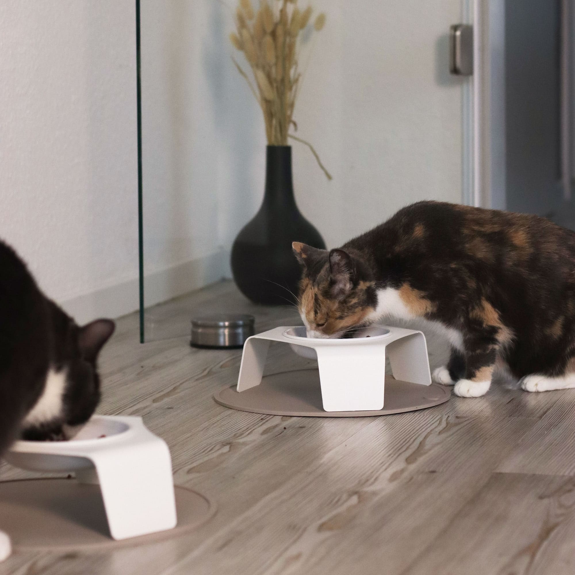 Futterfreude | Erhöhter Katzennapf mit Edelstahlschale