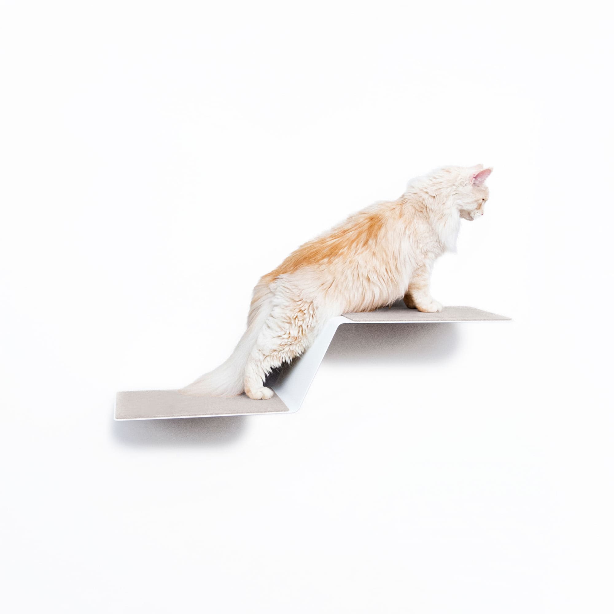 KletterKurve | XXL Wandliege für Katzen mit geschwungener Form