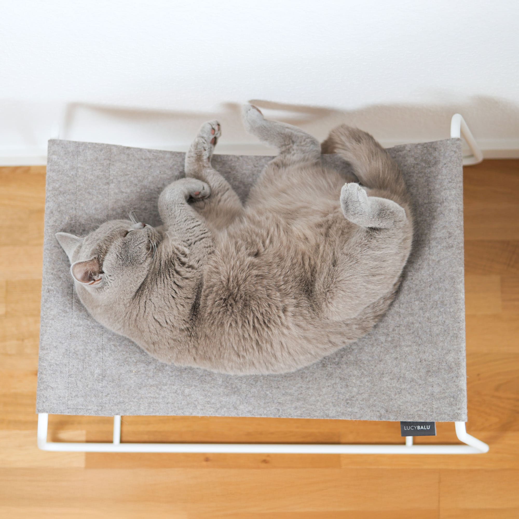 Lioro | Minimalistische Katzenhängematte mit stabilem Metallrahmen