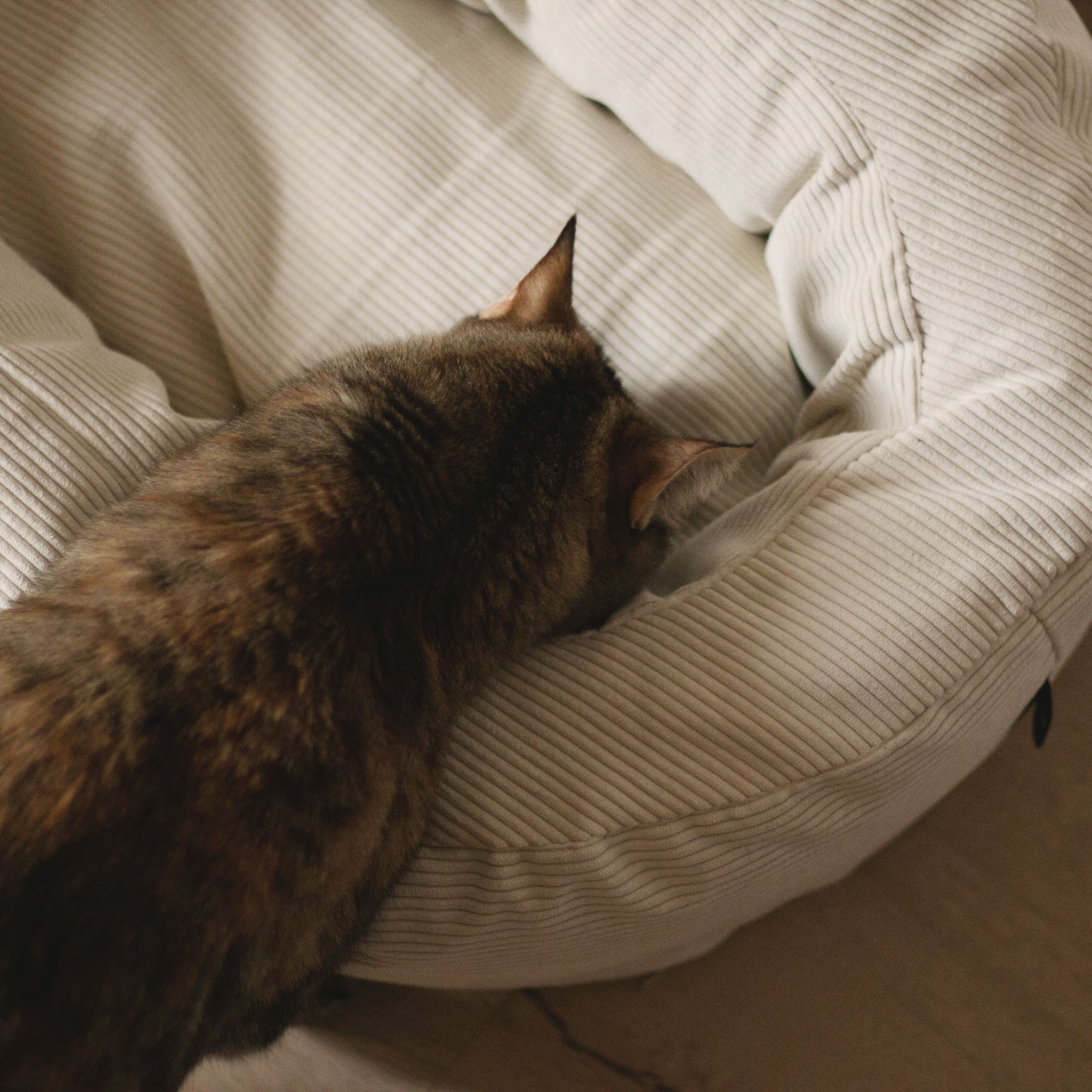 SamtSloop | Rundes Katzenbett mit Kuschelrand
