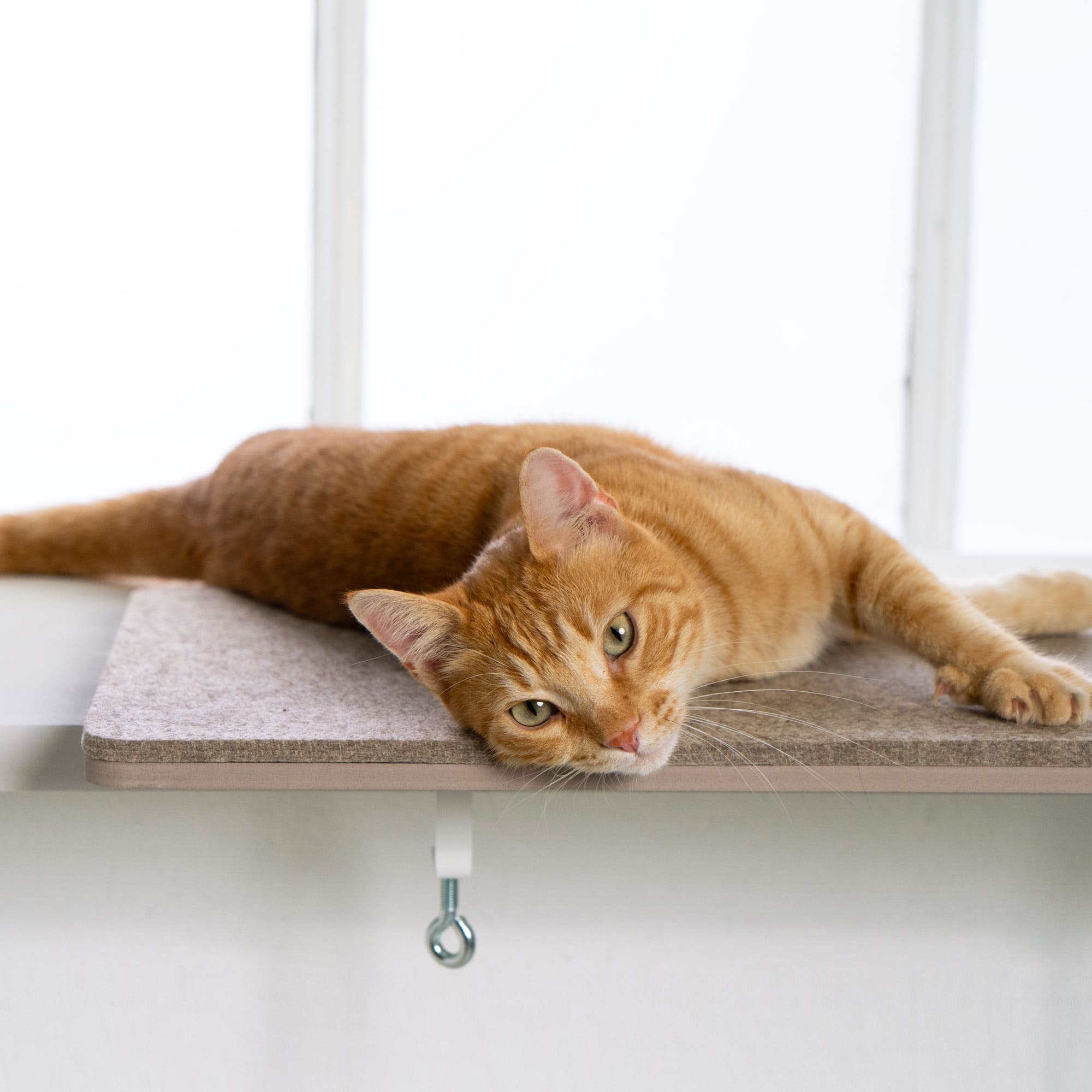 FeliView | Fensterbankliege für Katzen mit Kuschelauflage