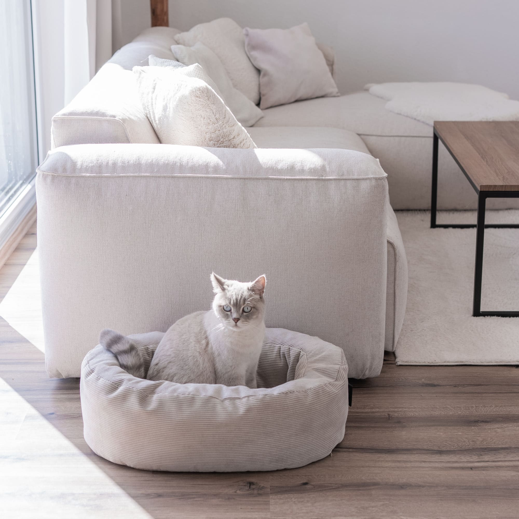 SamtSloop | Rundes Katzenbett mit Kuschelrand