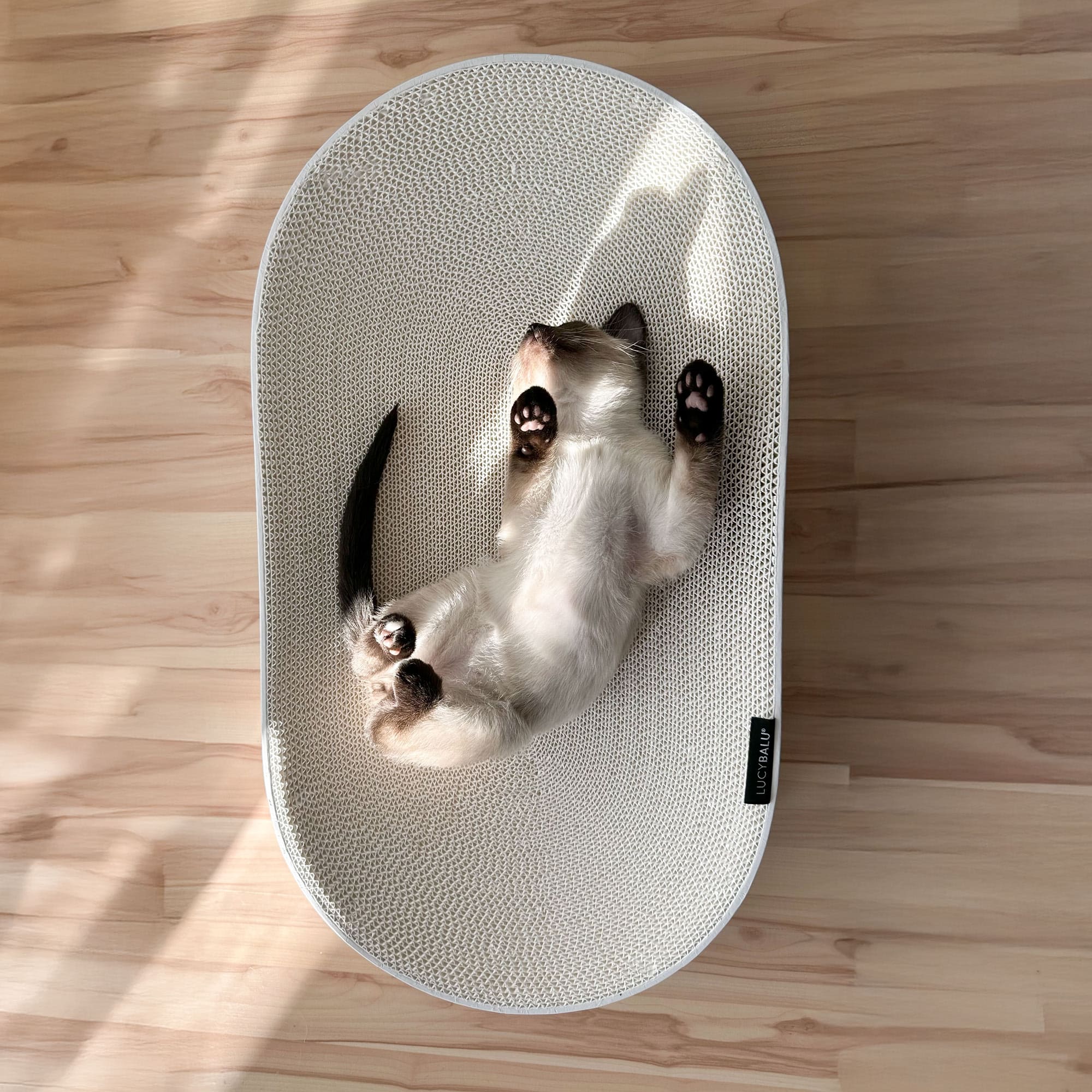 KratziLounge | Ovales Katzenbett mit integrierter Kratzfläche aus Karton