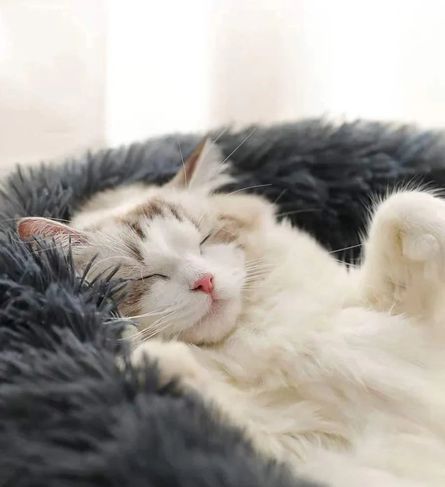 MiaVita | Flauschiges Katzenbett – Gemütlicher Rückzugsort für Stubentiger