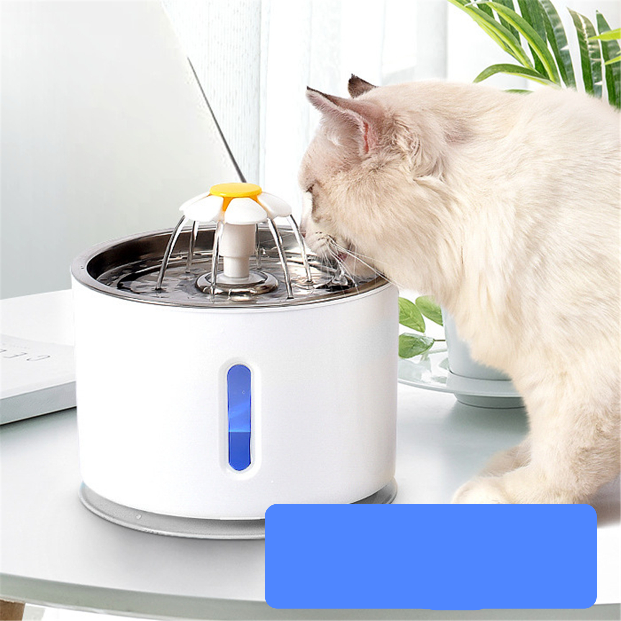 Aquaneko | Premium Trinkbrunnen für Katzen – Edelstahl & Filtertechnik