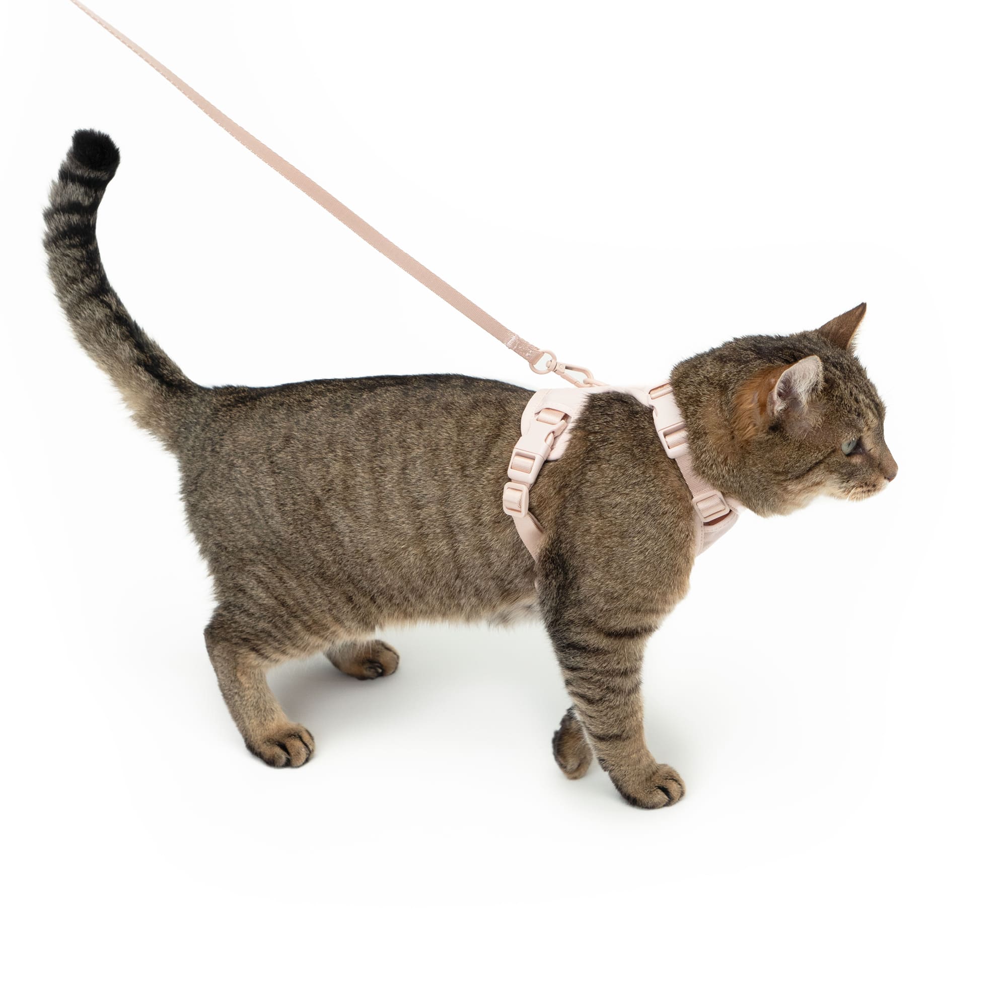 Miala | Komfort-Katzengeschirr mit Sicherheitsverschluss – Hello Kitty Design