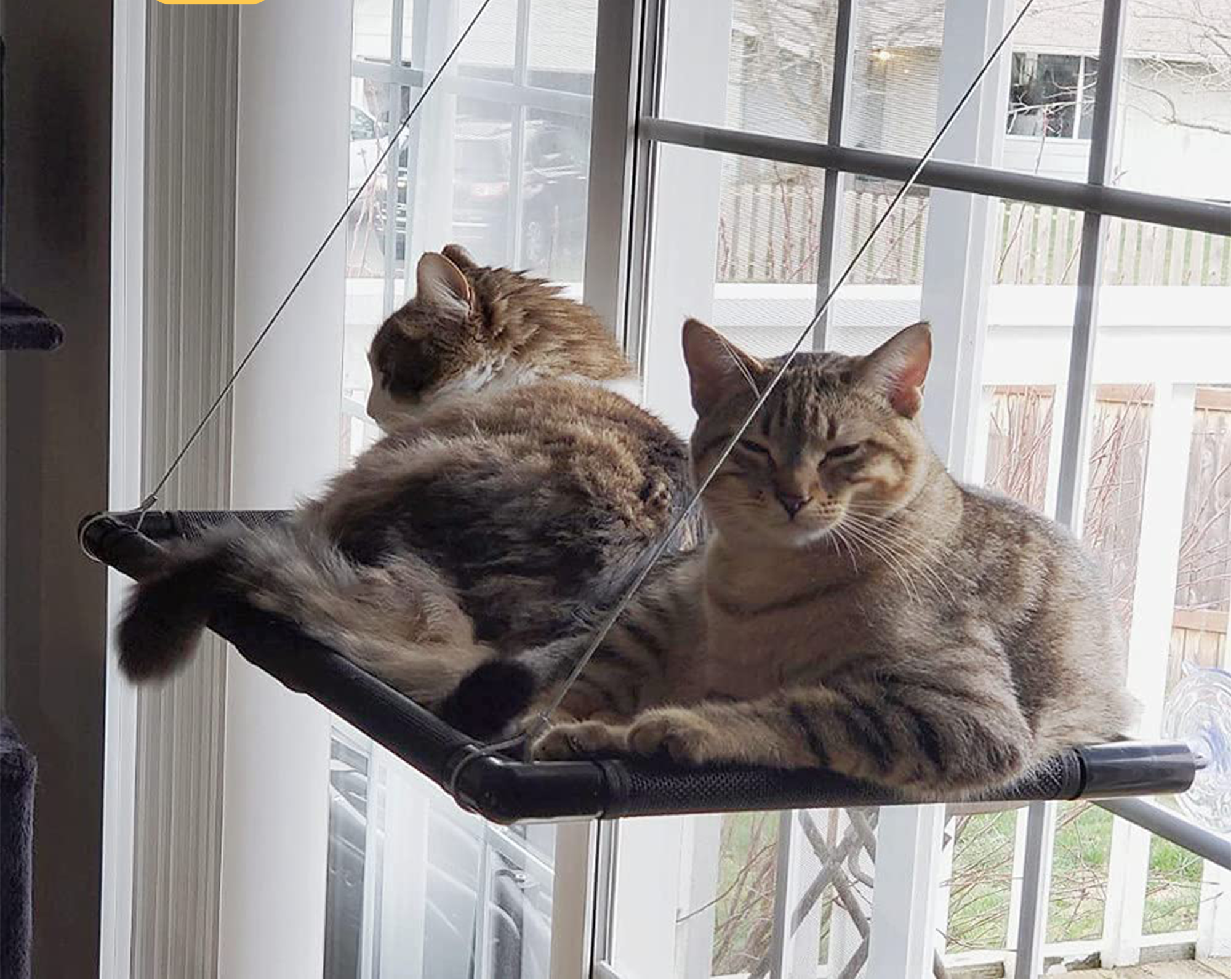 Pawelle | Fensterhängematte für Katzen – Sonnenplatz mit Aussicht