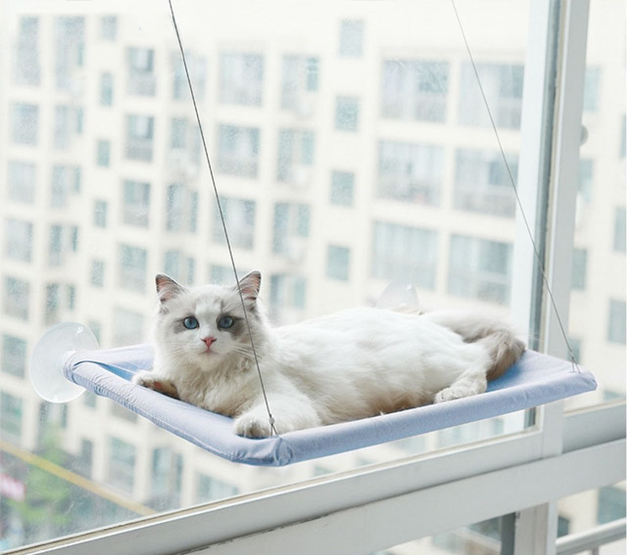Pawelle | Fensterhängematte für Katzen – Sonnenplatz mit Aussicht
