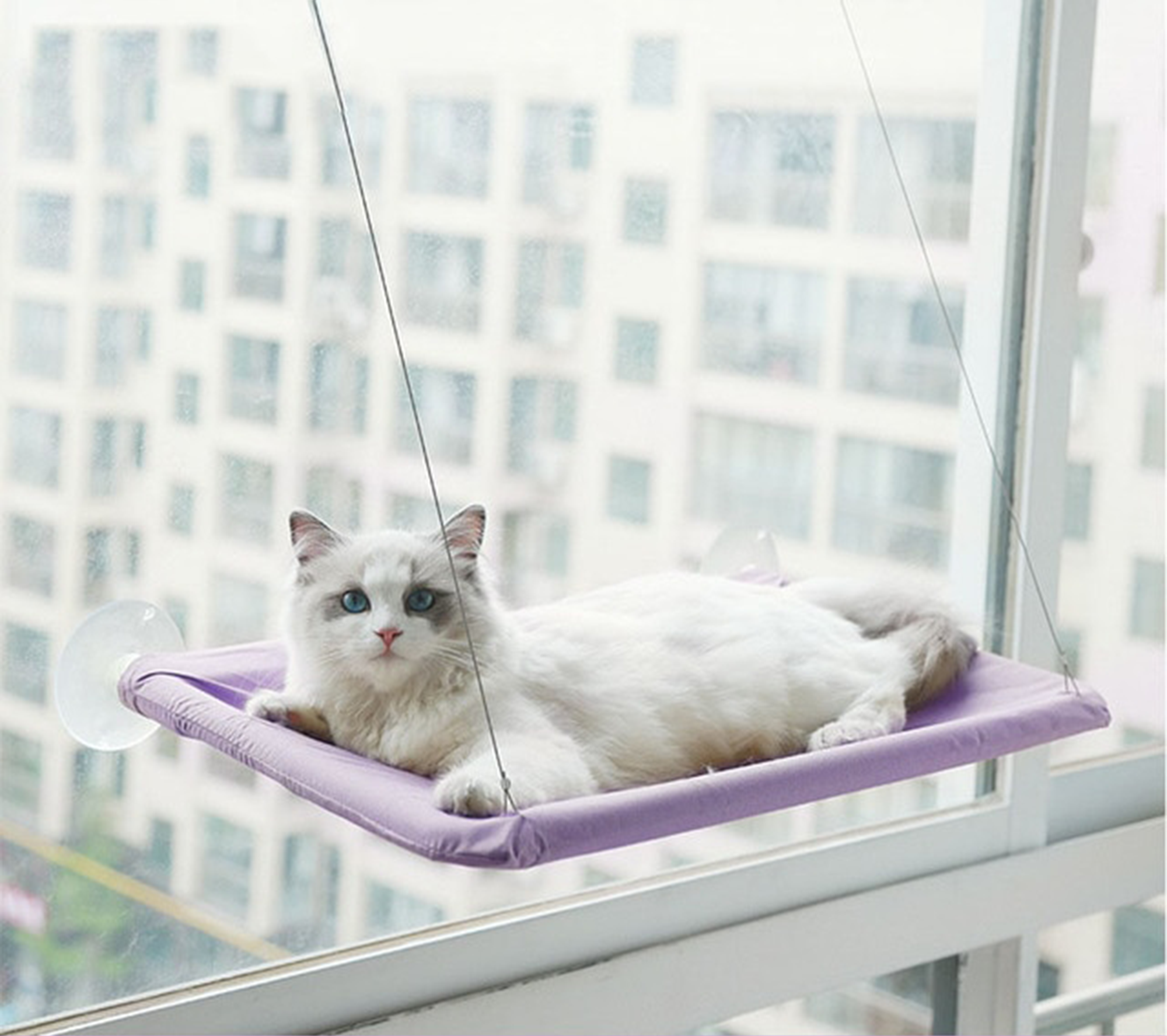 Pawelle | Fensterhängematte für Katzen – Sonnenplatz mit Aussicht