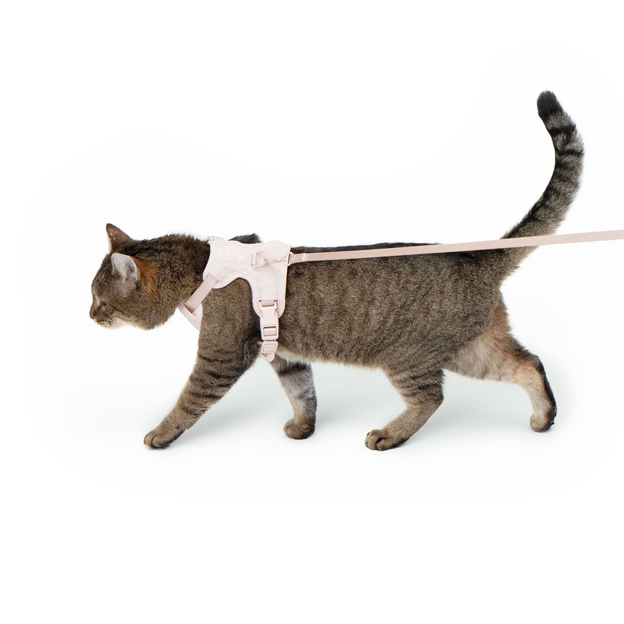 Miala | Komfort-Katzengeschirr mit Sicherheitsverschluss – Hello Kitty Design