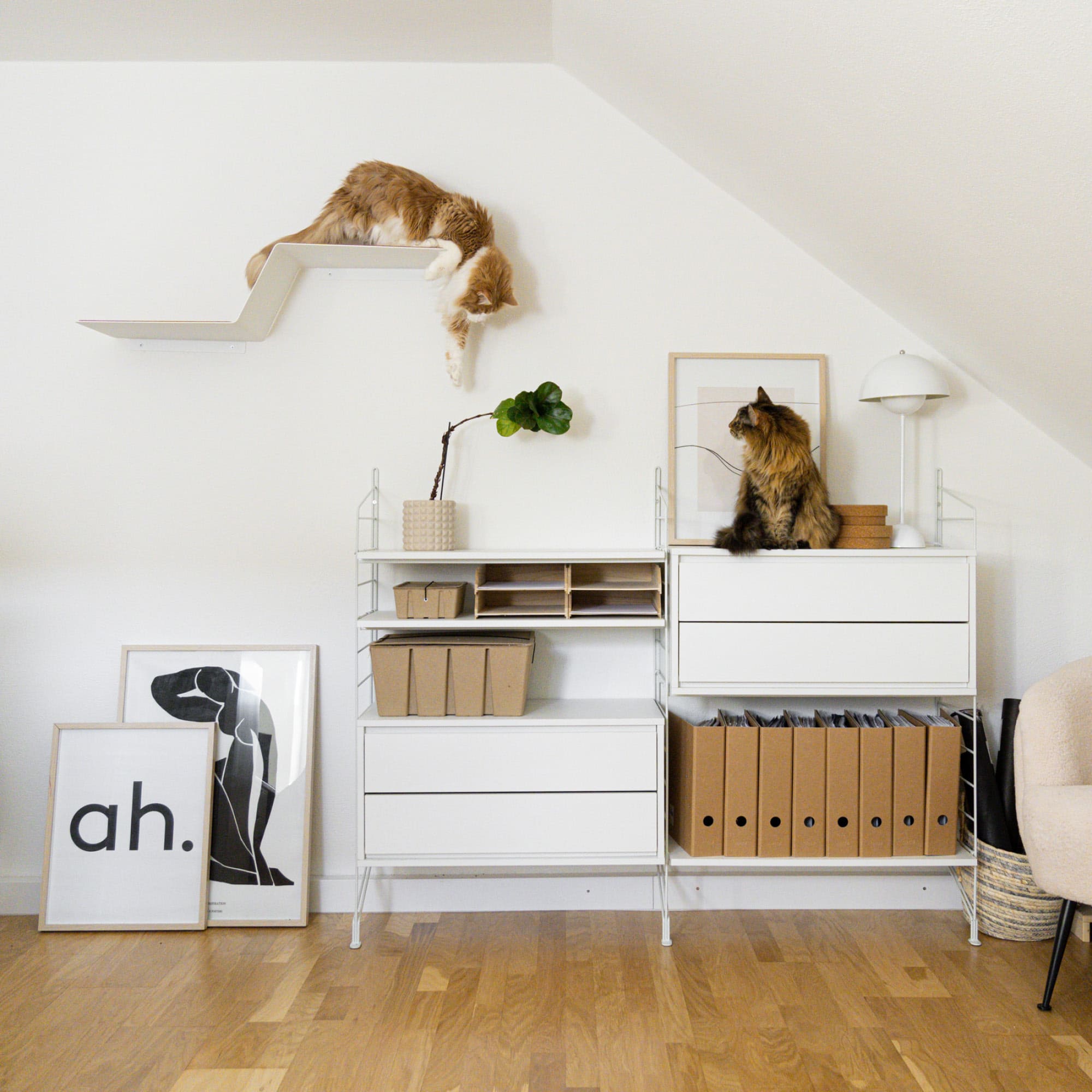 KletterKurve | XXL Wandliege für Katzen mit geschwungener Form