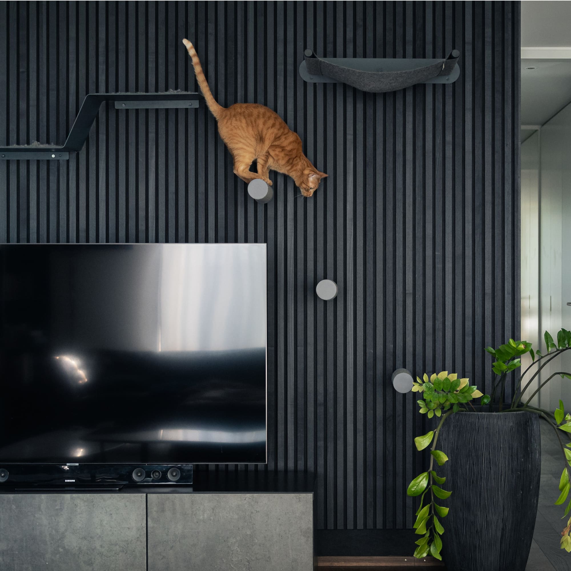 Taviro | Wand-Kratzstamm für Katzen zur vertikalen Kletterwand-Erweiterung