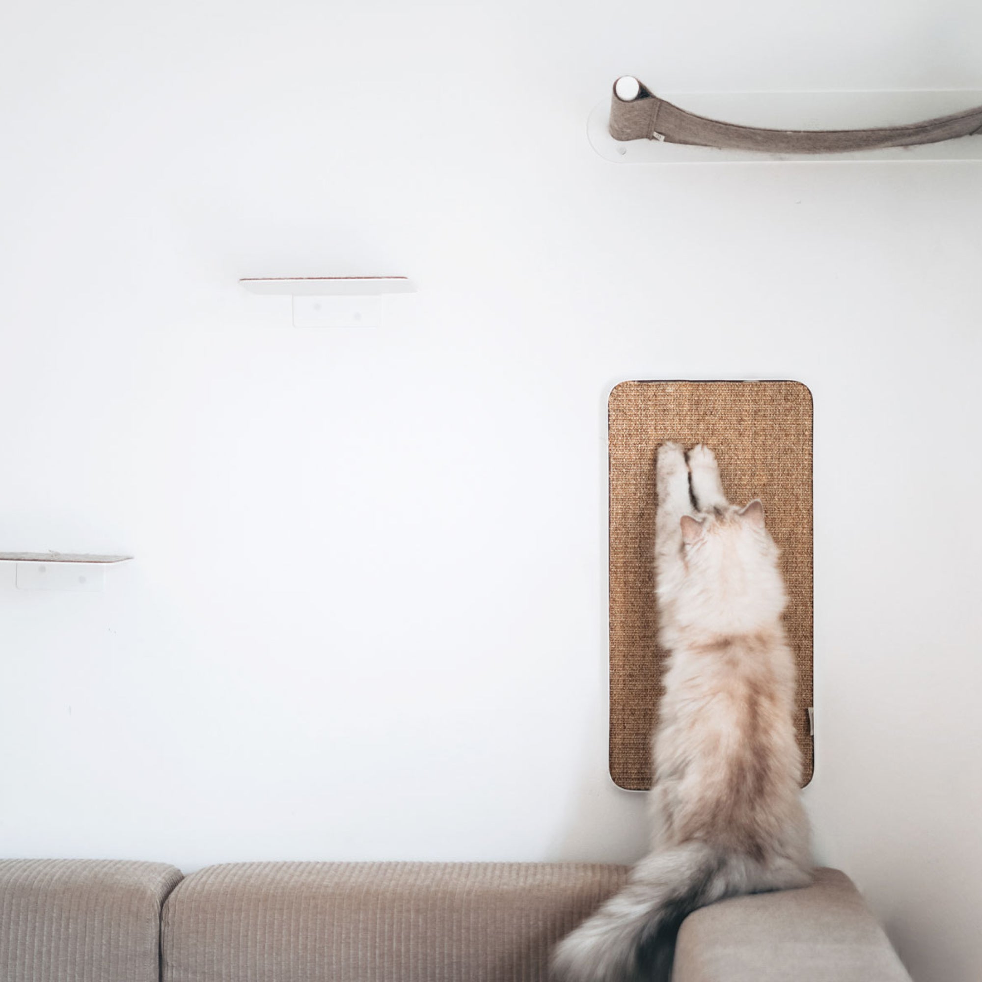 Clawsy | Wand-Kratzbrett für Katzen mit austauschbarer Sisalauflage