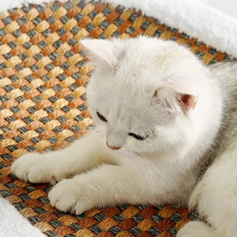 Ella | Komfort Katzenbett mit integrierter Kratzfläche