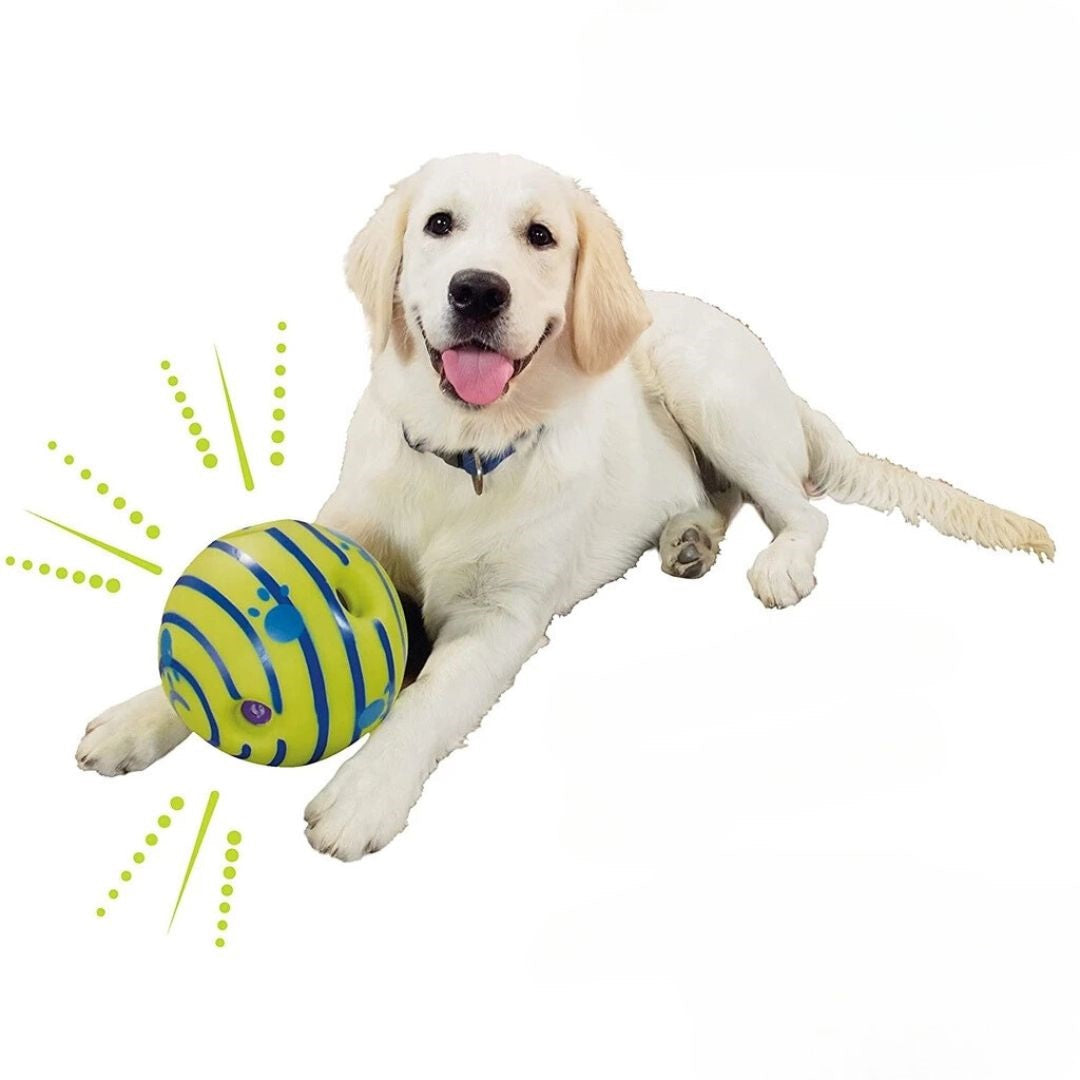WuffWhirl | Interaktiver Geräusch- & Vibrationsball für Hunde