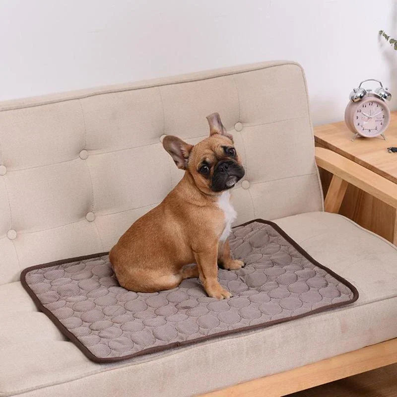 ArvoPets | Atmungsaktive Kühlmatte für Hunde