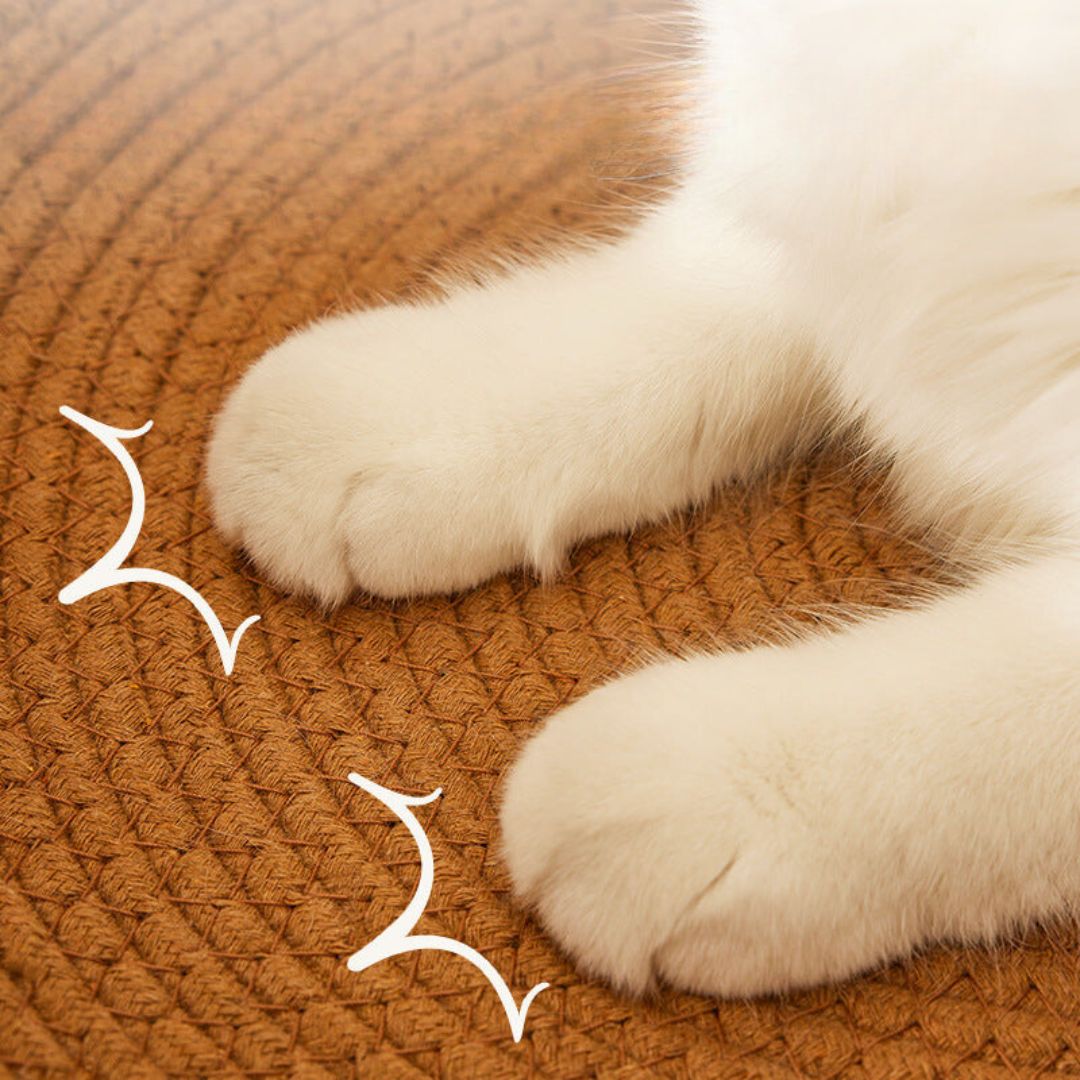 MauLuna | Handgewebtes Kratz- und Kuschelbett aus Natur-Rattan für Katzen
