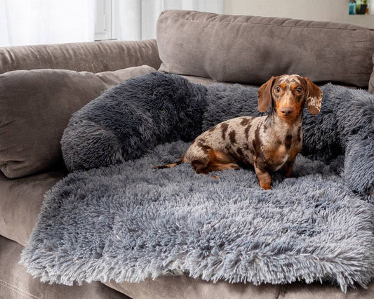 Sofura | Kratzschutzdecke für Sofa & Möbel – Tierhaarfrei & stilvoll