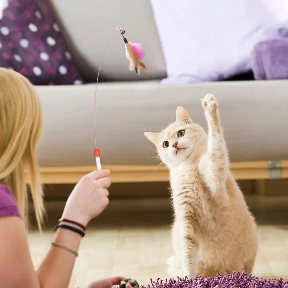 MimiLust | 12-teiliges Spielzeugset für Katzen – Abwechslungsreicher Spielspaß