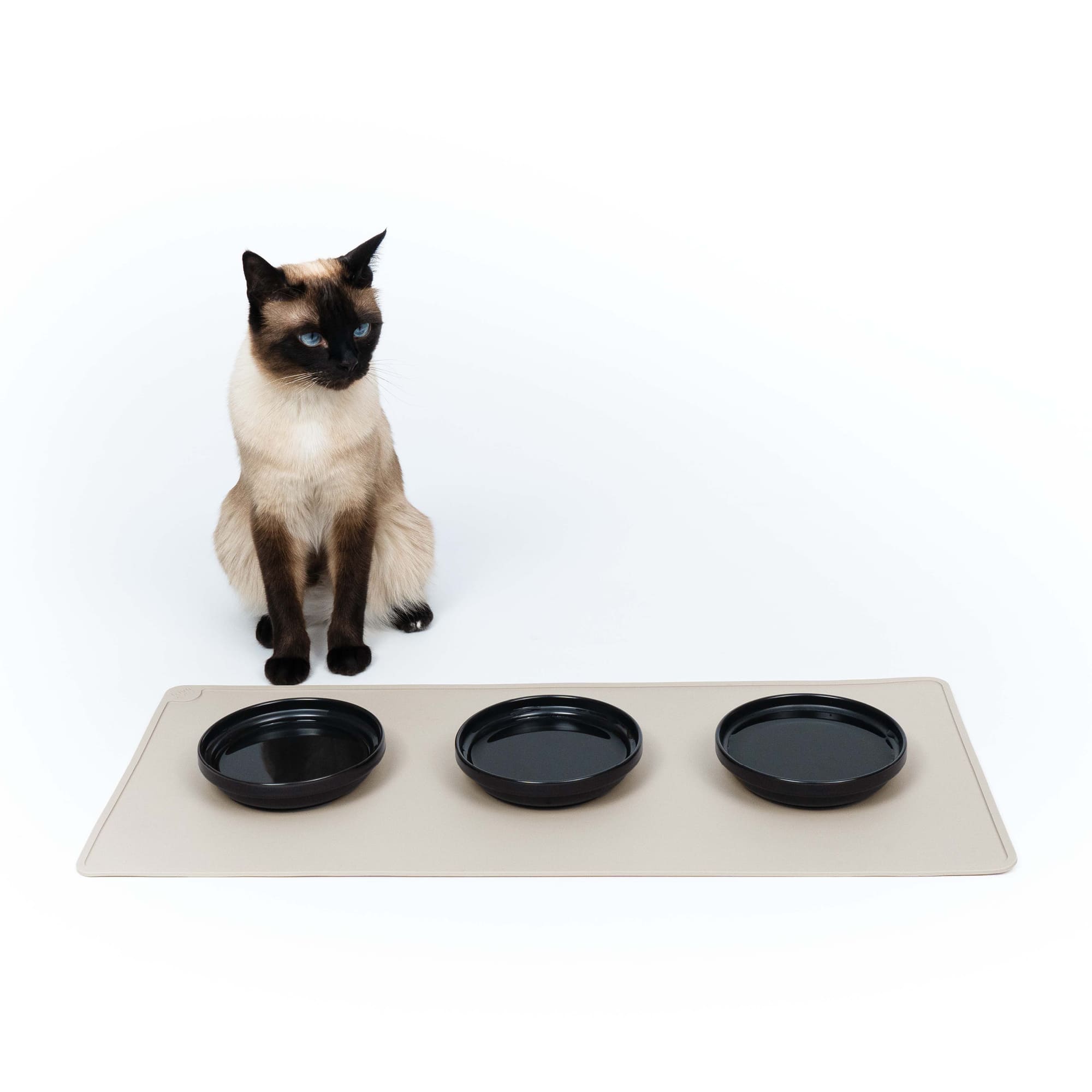 FelinaForma | Ergonomischer Katzennapf aus Porzellan