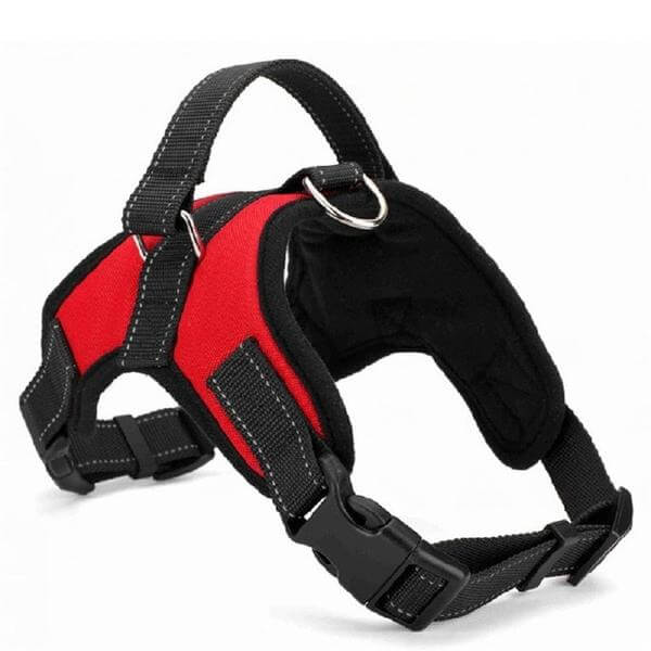 SafeStrap | Verstellbares Premium-Hundegeschirr für Sicherheit & Komfort