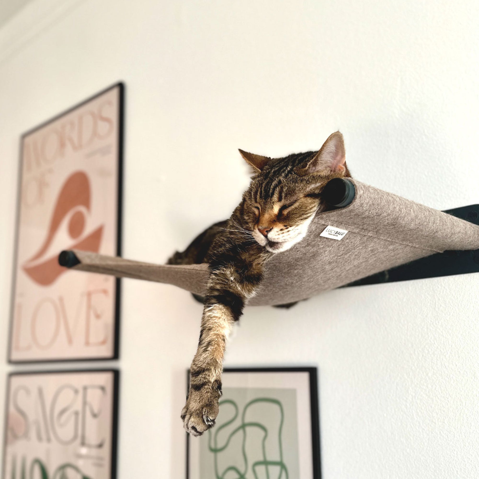 NolaPet | Wandmontierte Katzenhängematte für gemütliche Ruheplätze