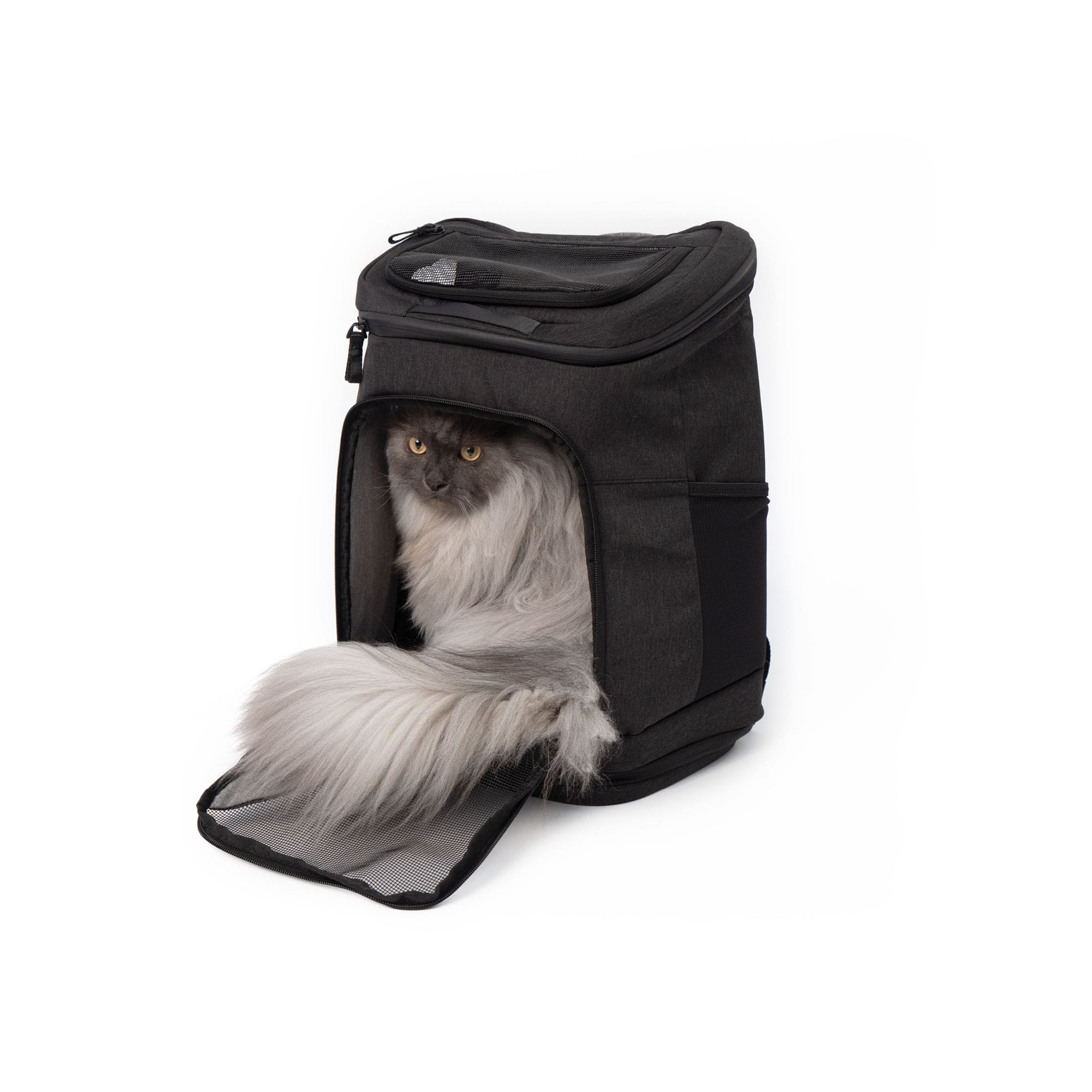 Leichter Katzenrucksack