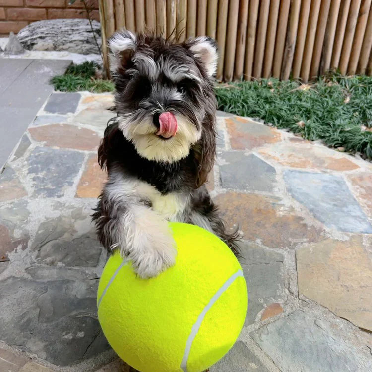 MaxFetch | Extra Großer Tennisball für Hunde