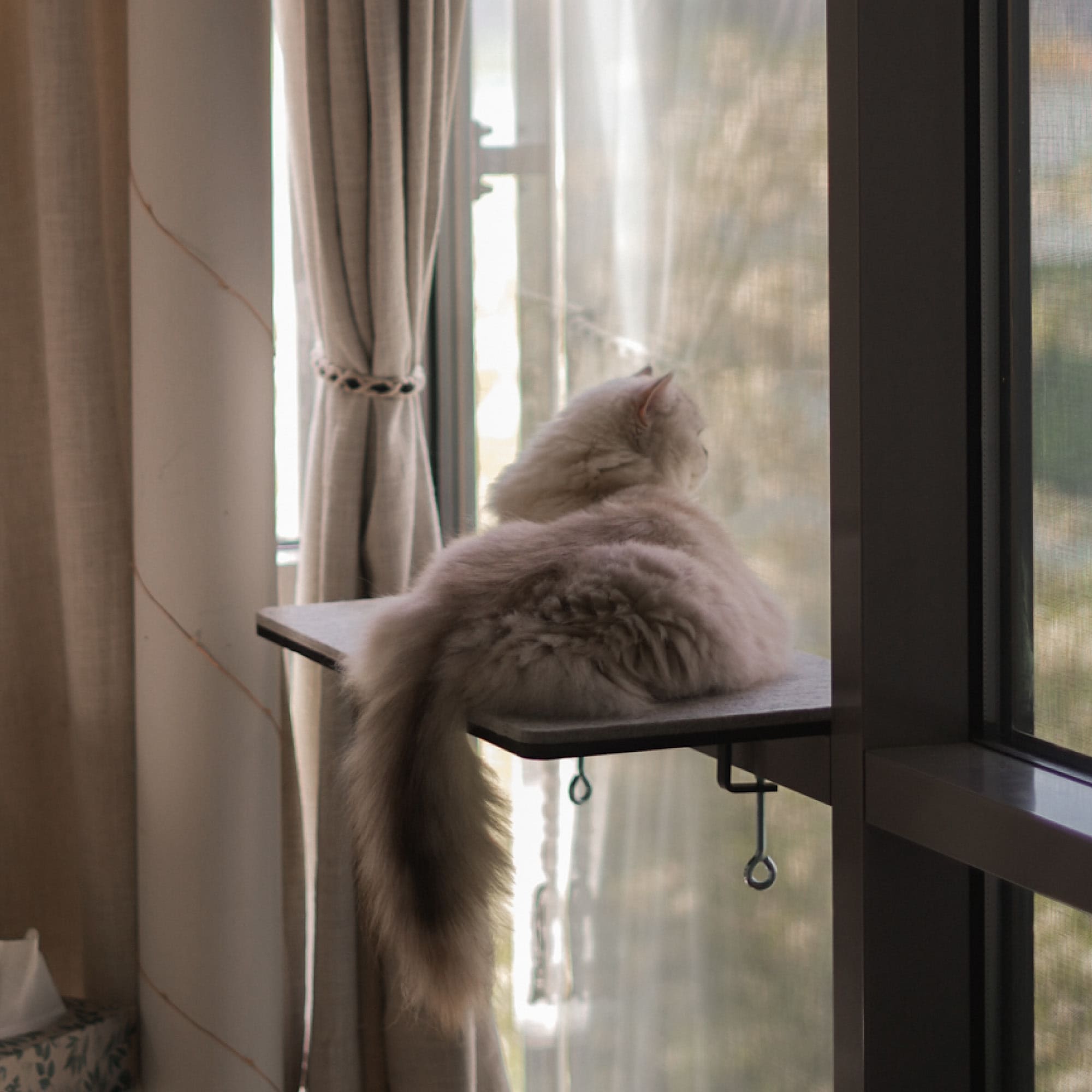FeliView | Fensterbankliege für Katzen mit Kuschelauflage