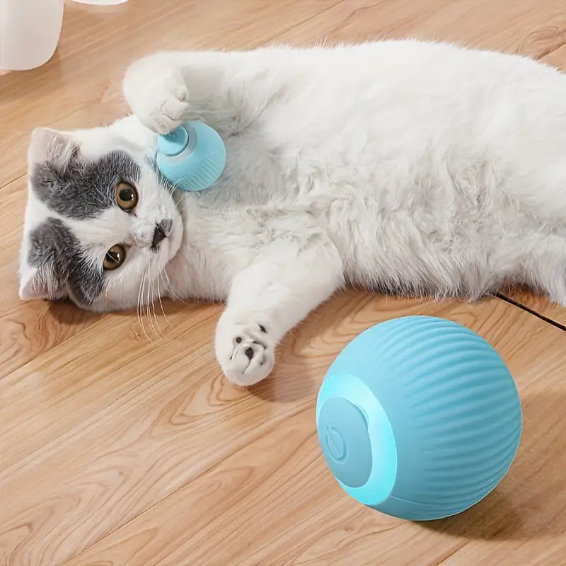 Rollino | Intelligenter Spielball für neugierige Katzen
